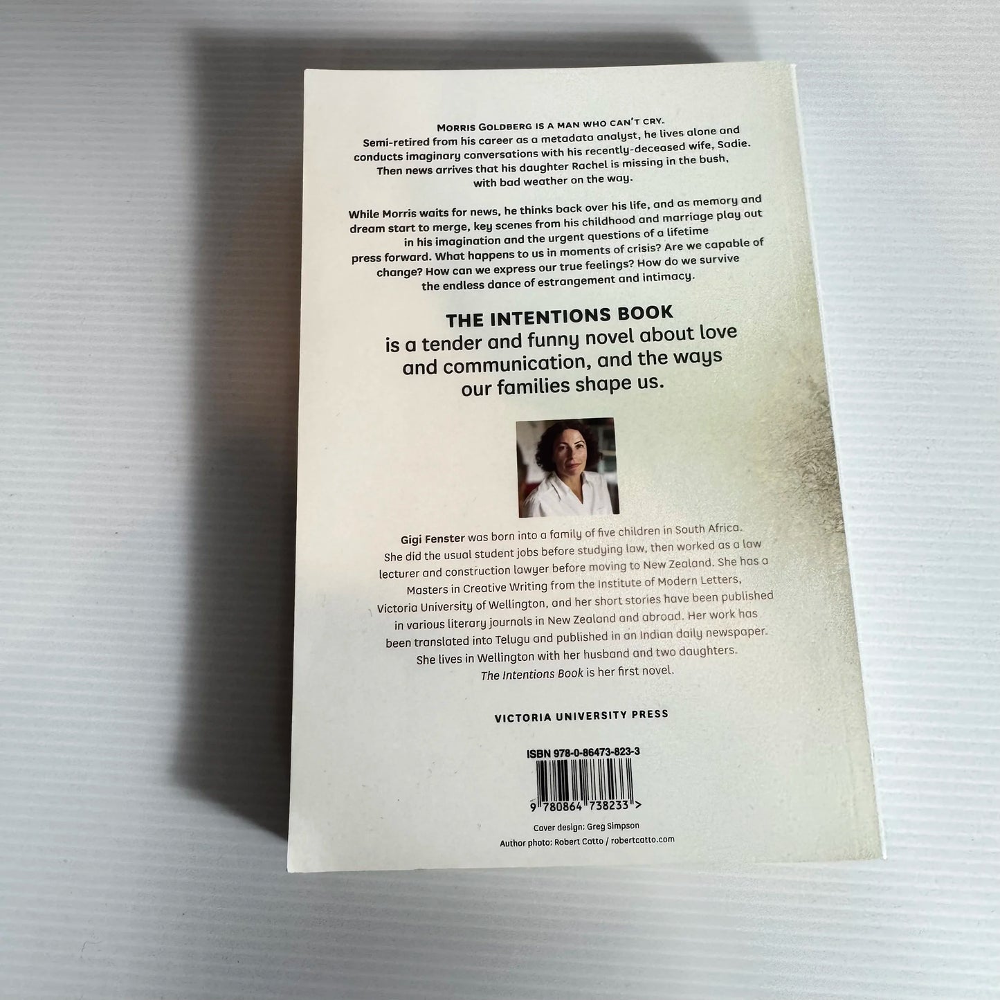 The Intentions Book - Gigi Fenster