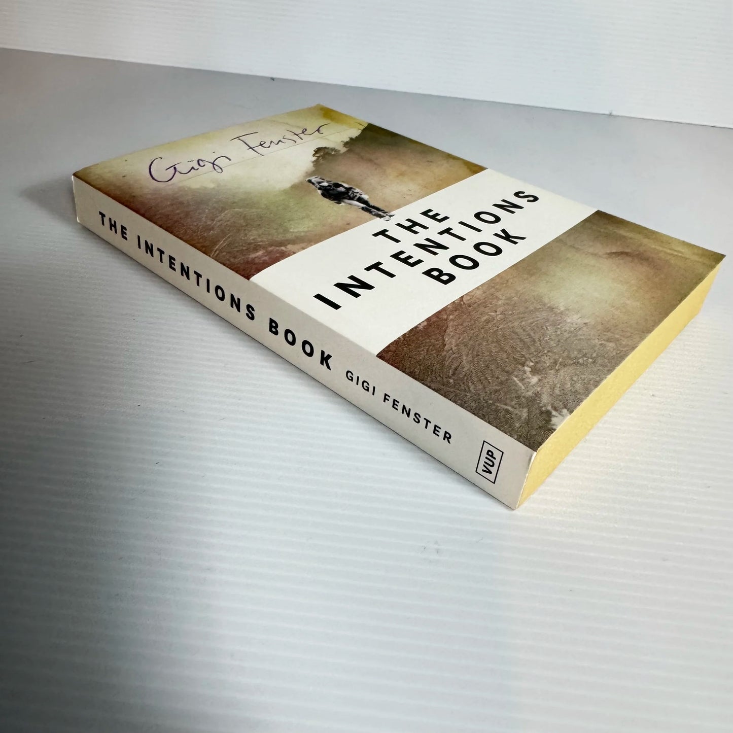 The Intentions Book - Gigi Fenster