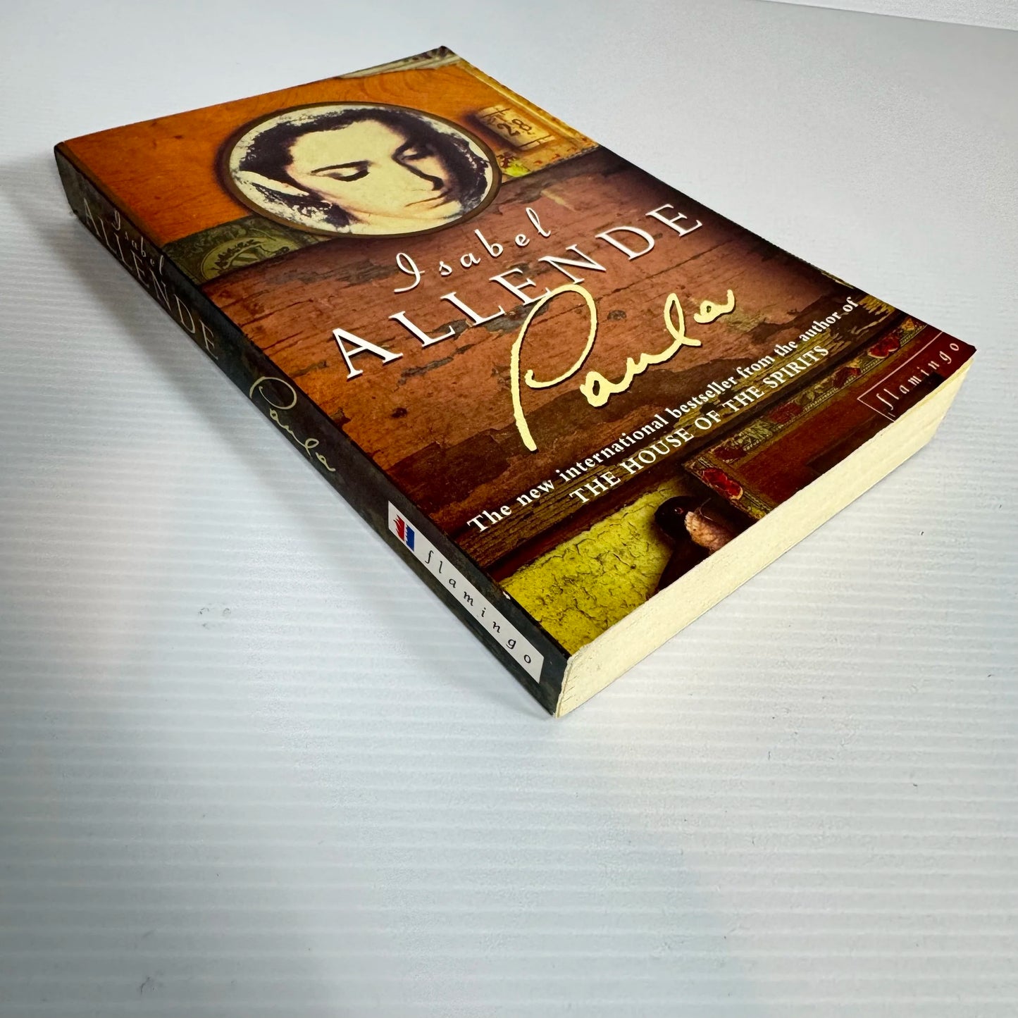 Paula - Isabel Allende