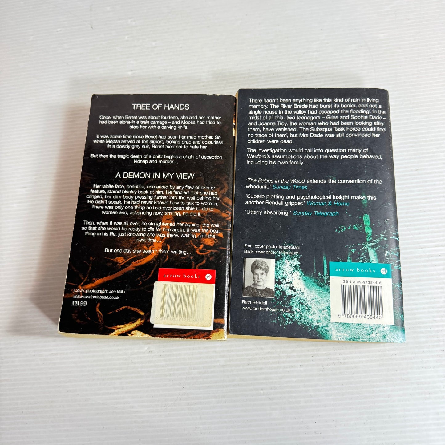 Ruth Rendell Book Bundle x 2 Books : 3 Stories - The Baes in The Wood & The Tree of Hands & The Demon In My View