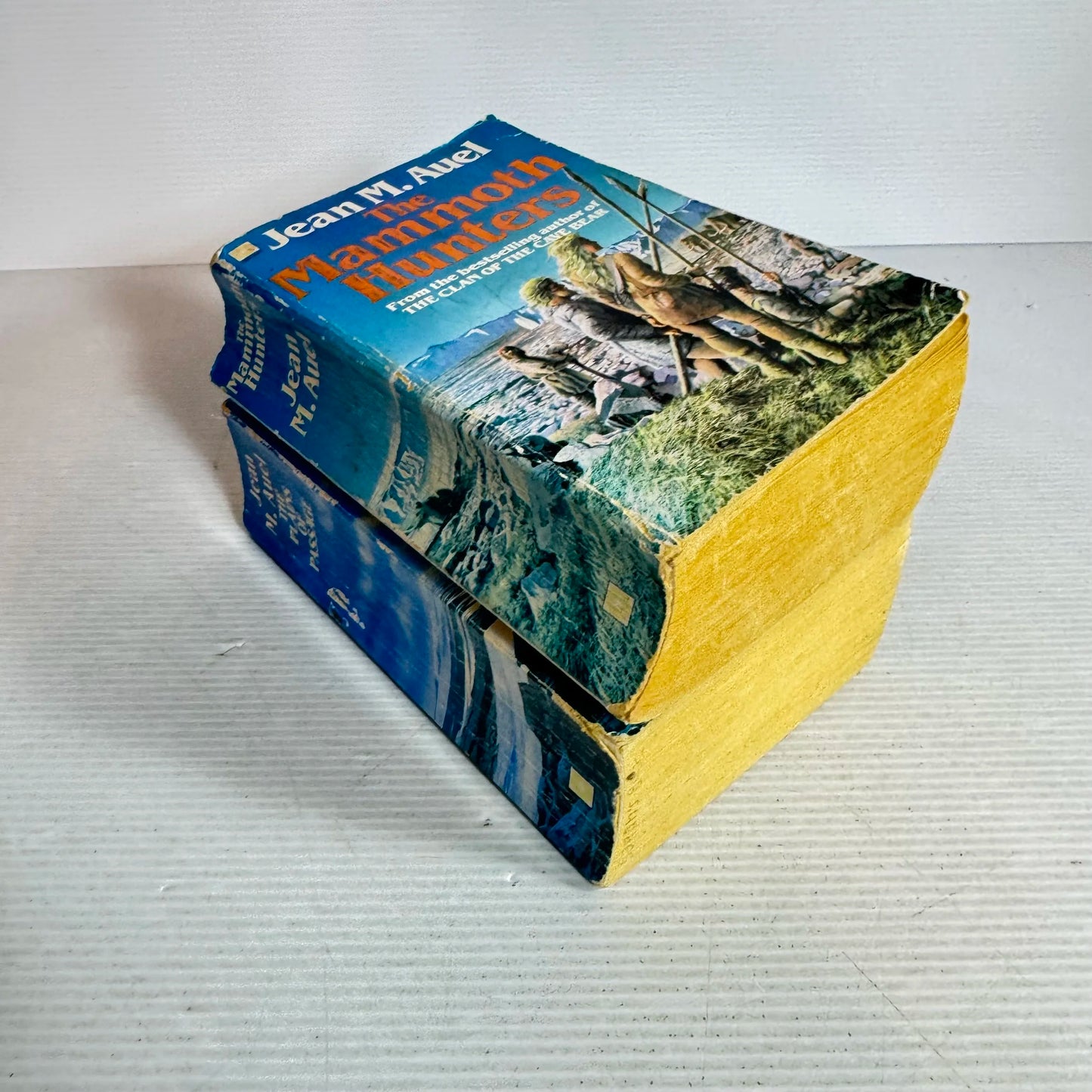 Jean M. Auel Book Bundle x2 The Mammoth Hunters & The Plains of Passage (644)