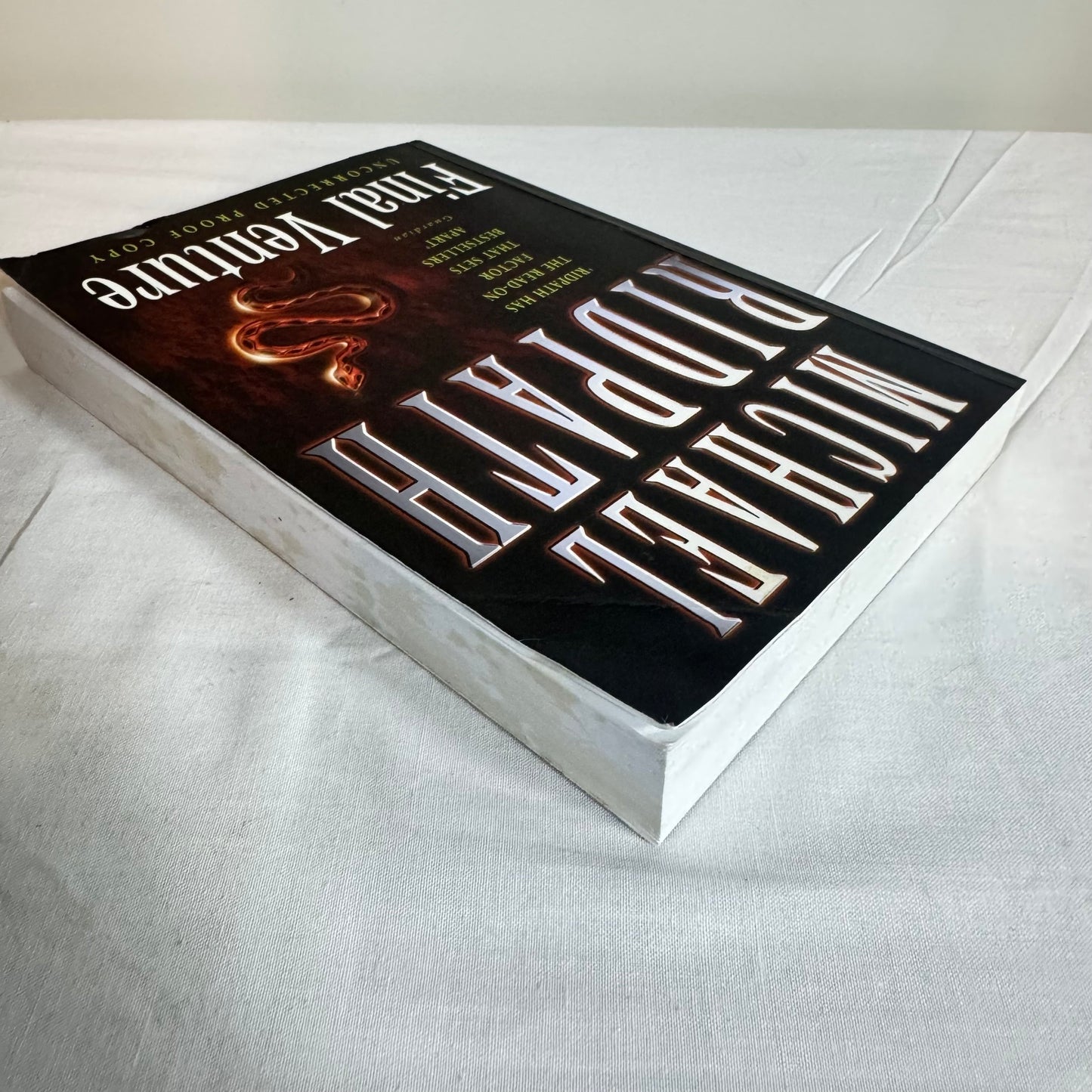 Final Venture - Michael Ridpath