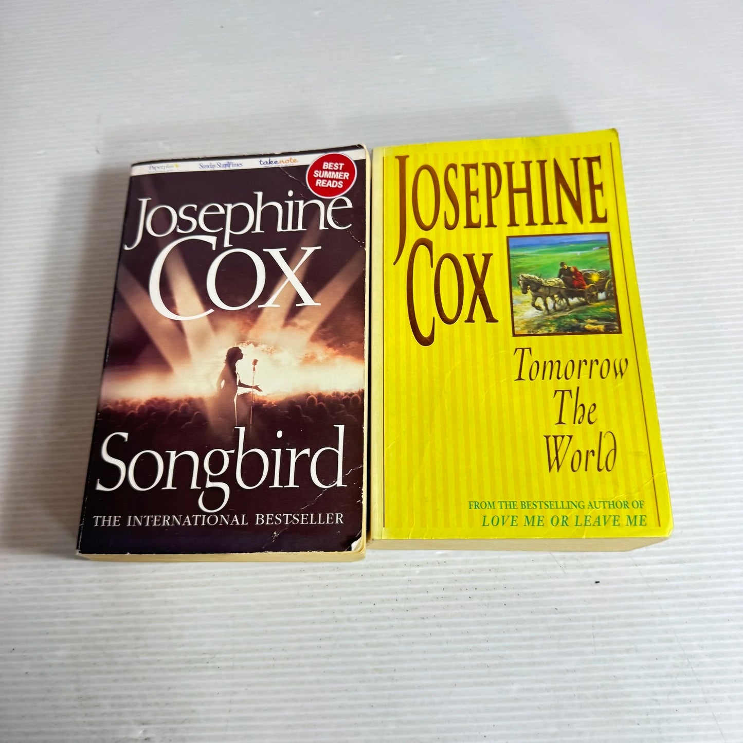 Josephine Cox Book Bundle x 2  Tomorrow The World & Songbird (635)