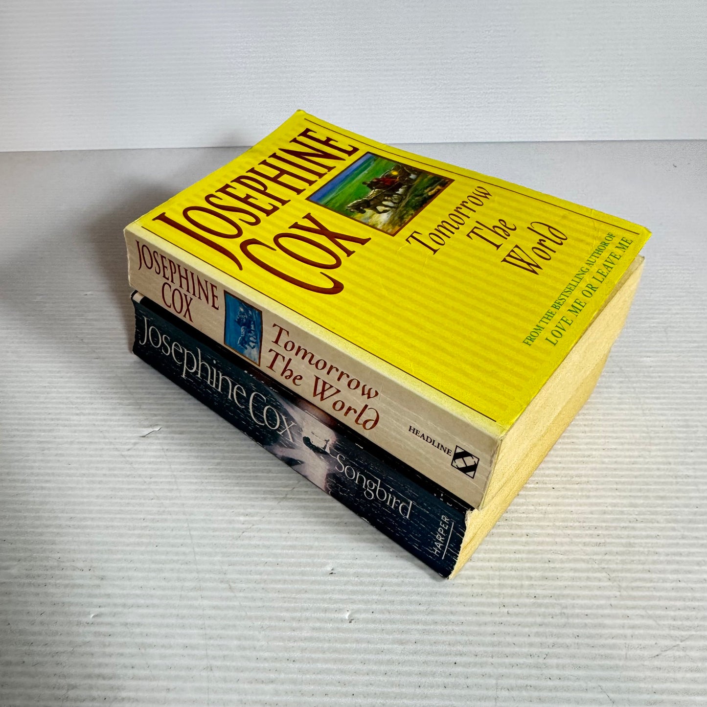 Josephine Cox Book Bundle x 2  Tomorrow The World & Songbird (635)