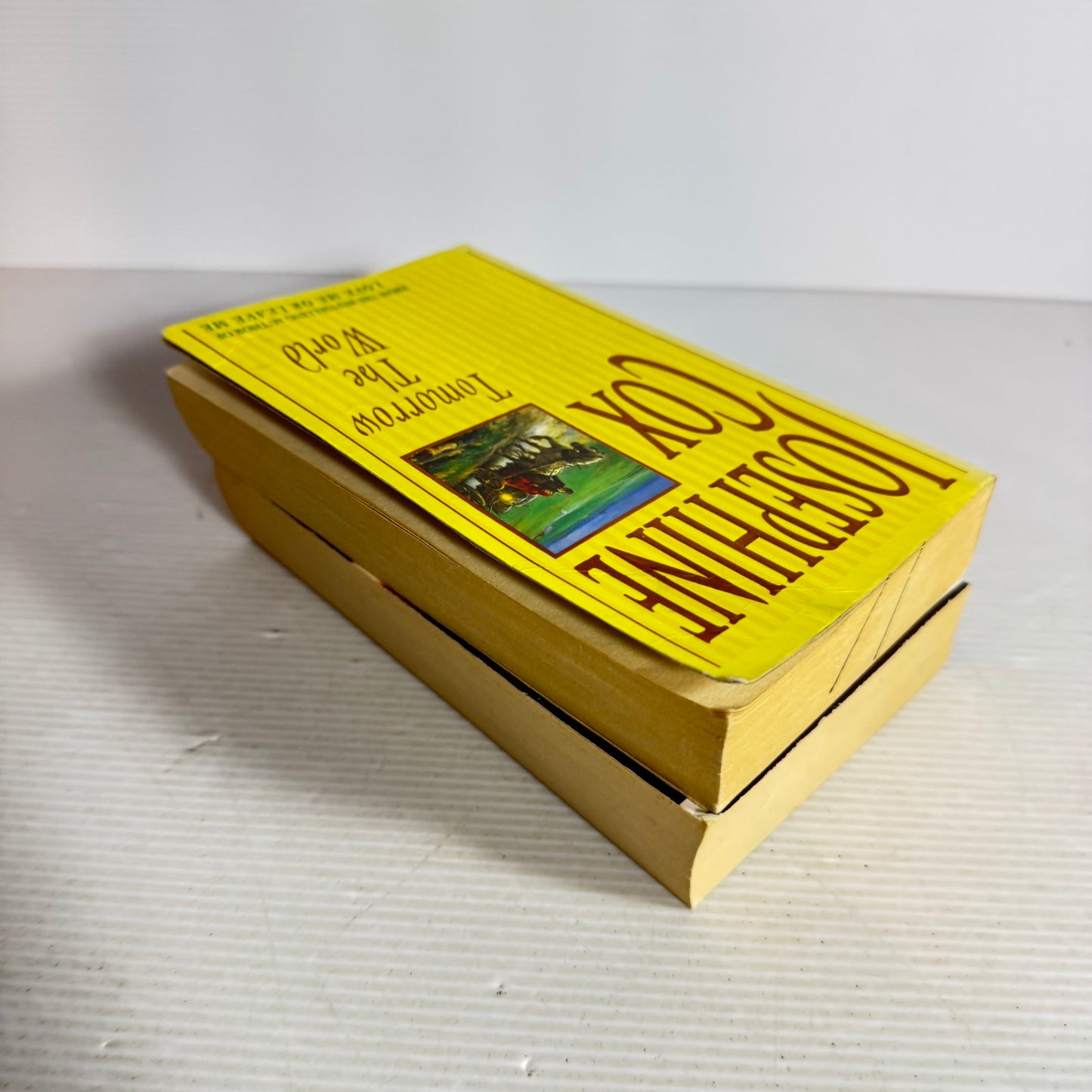 Josephine Cox Book Bundle x 2  Tomorrow The World & Songbird (635)