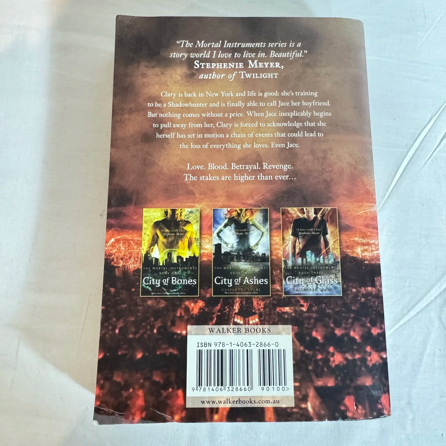 City of Fallen Angles - Cassandra Clarke