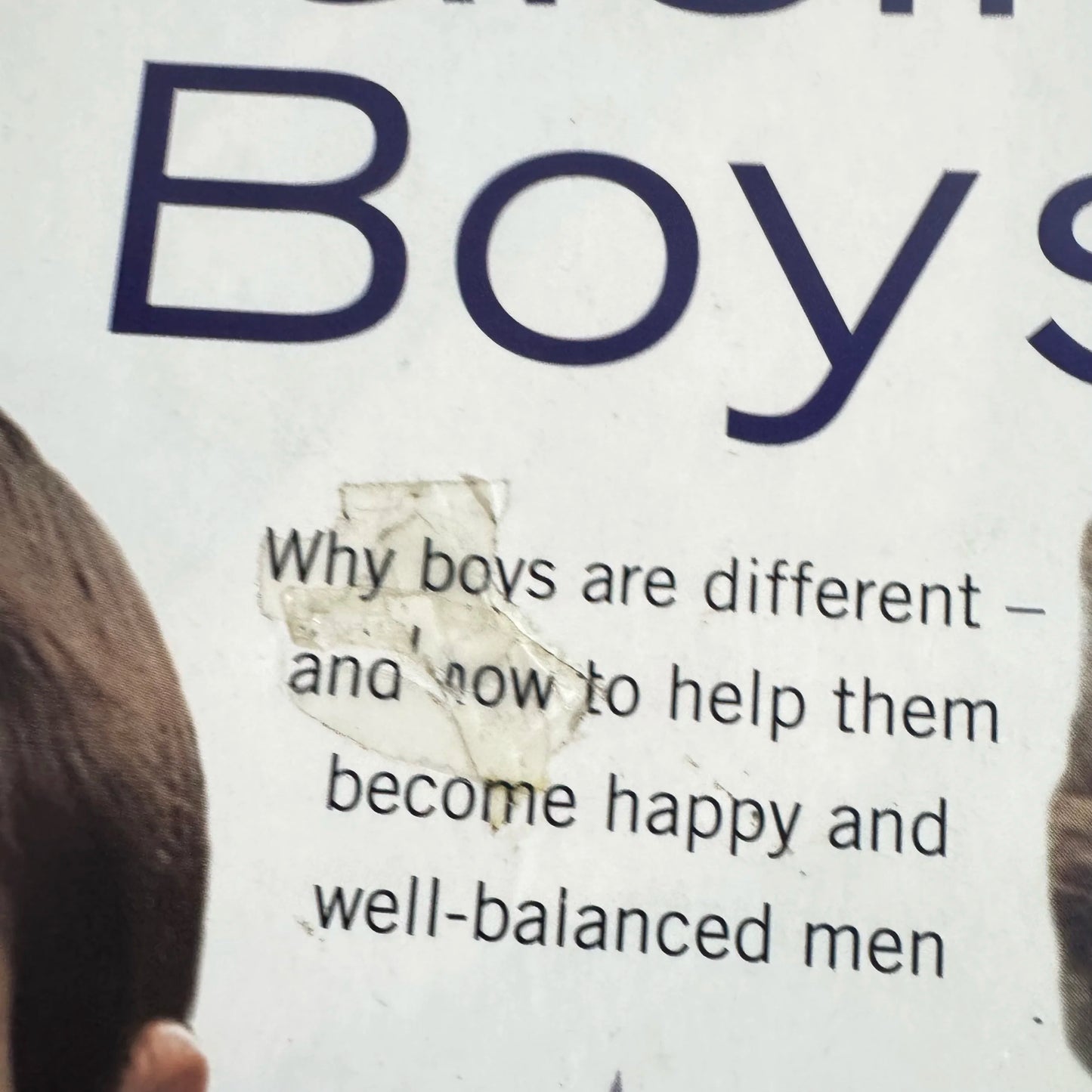 Raising Boys - Steve Biddulph