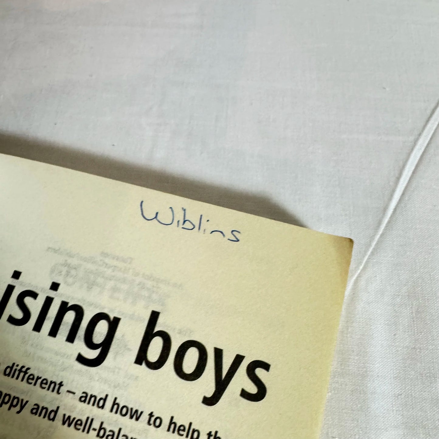 Raising Boys - Steve Biddulph