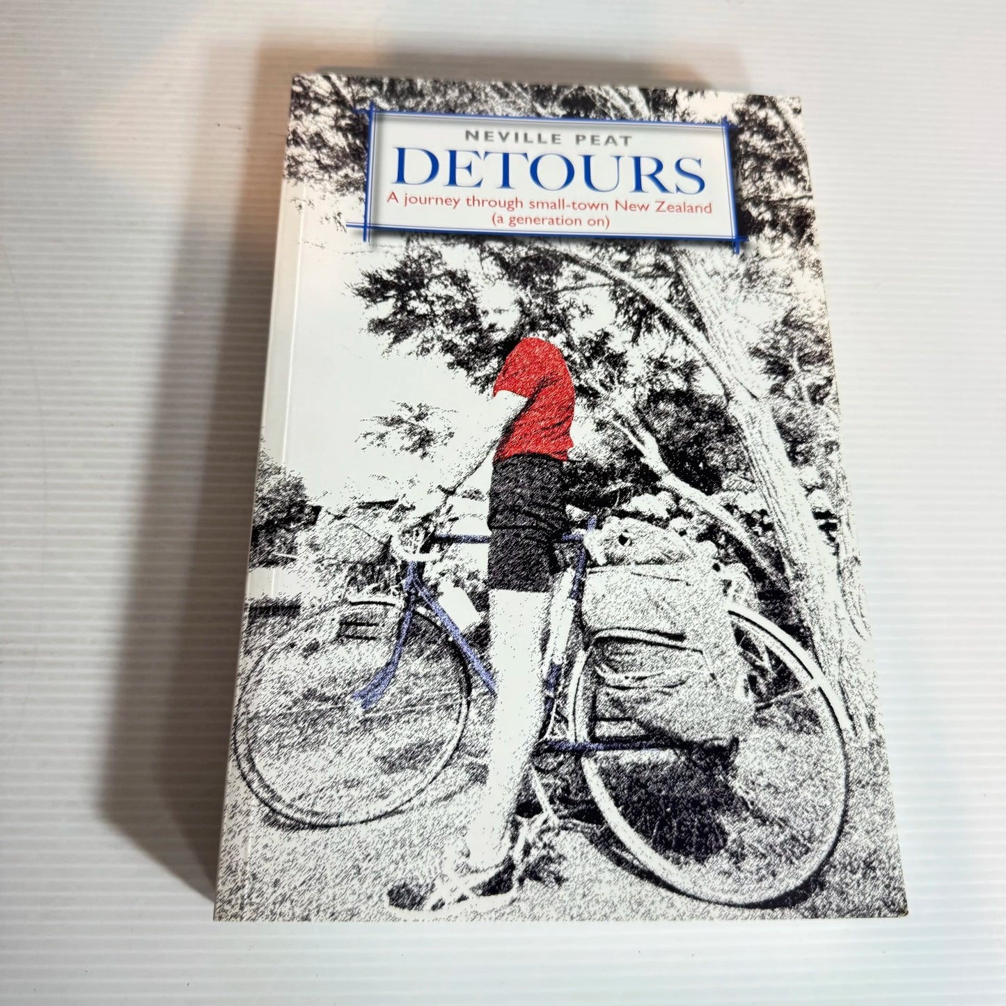 Detours: A Journey Through Small-town New Zealand (A Generation On) - Neville Peat
