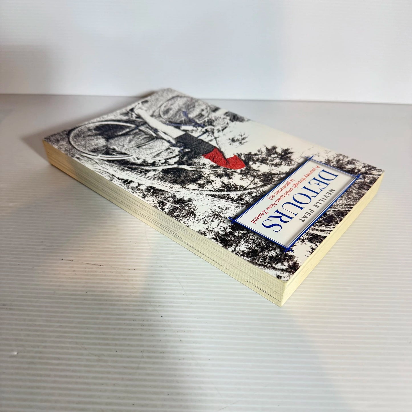 Detours: A Journey Through Small-town New Zealand (A Generation On) - Neville Peat