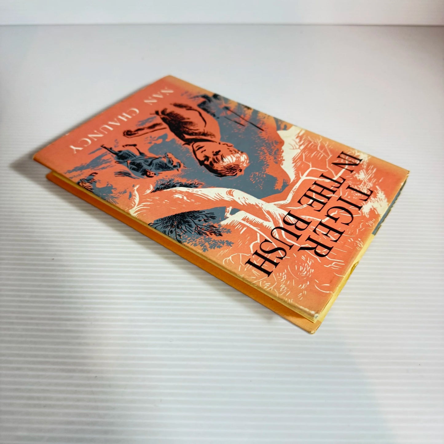 Tiger In the Bush - Nan Chauncy (Vintage 1959)