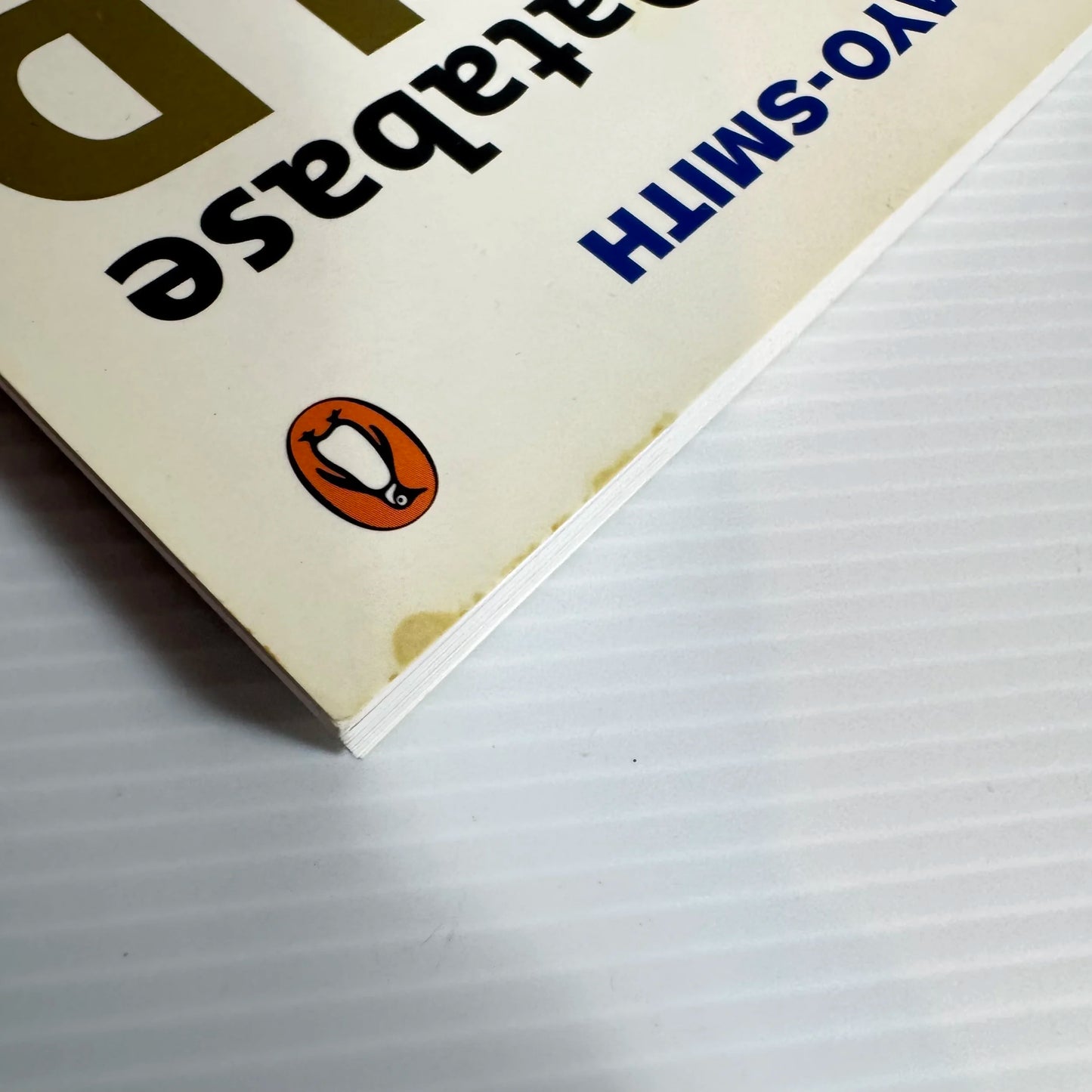 Make Your Database Your Goldmine - Debbie Mayo-Smith