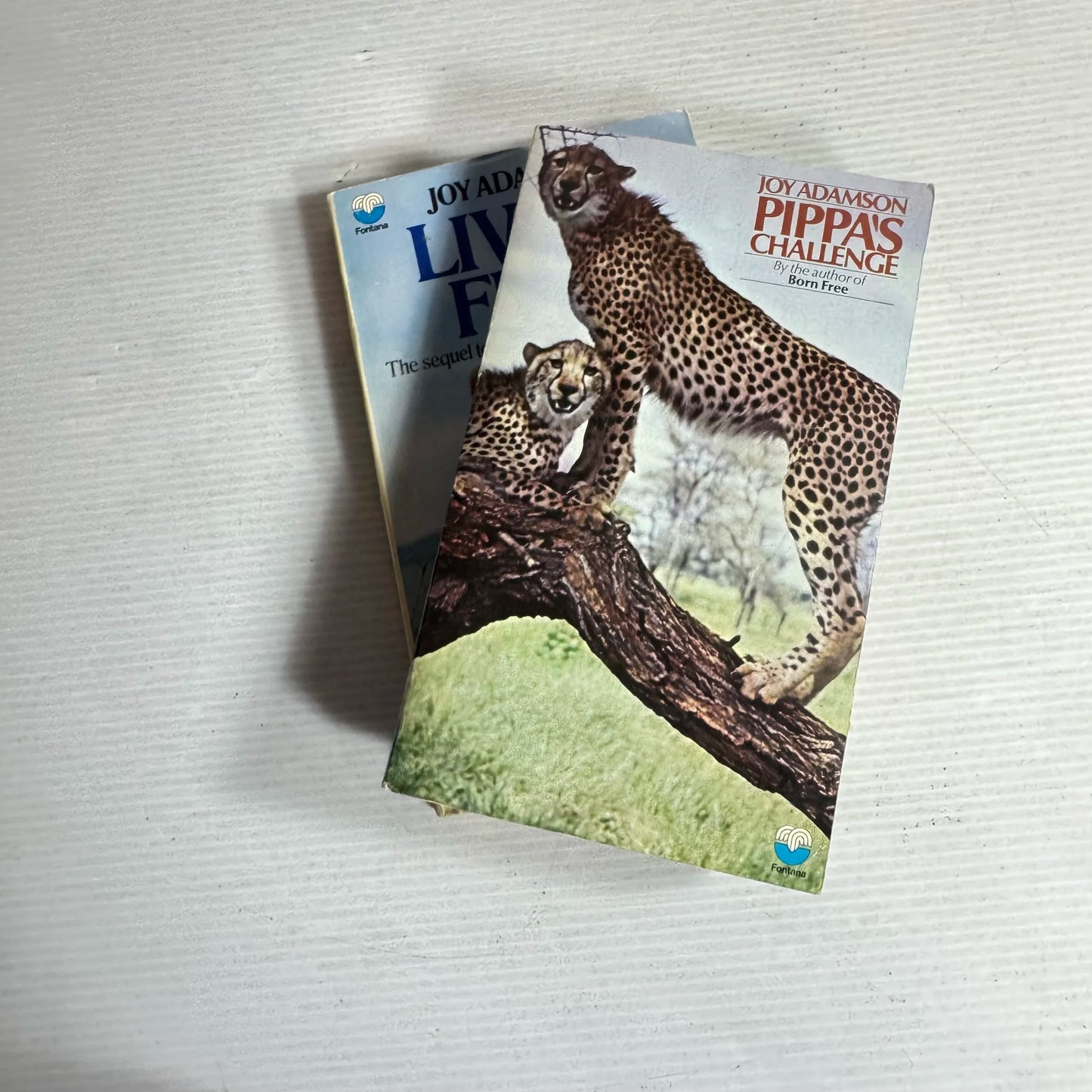 Joy Adams Book Bundle x 2  Living Free & Pippa's Challenge (Vintage 1971-1973) (604)