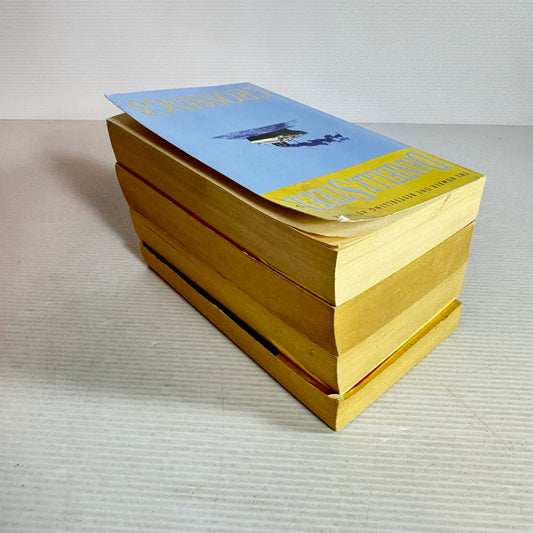 Danielle Steel Book Bundle x 4 Books : Crossing, Wanderlust, Now and Forever, Summer's End (606)