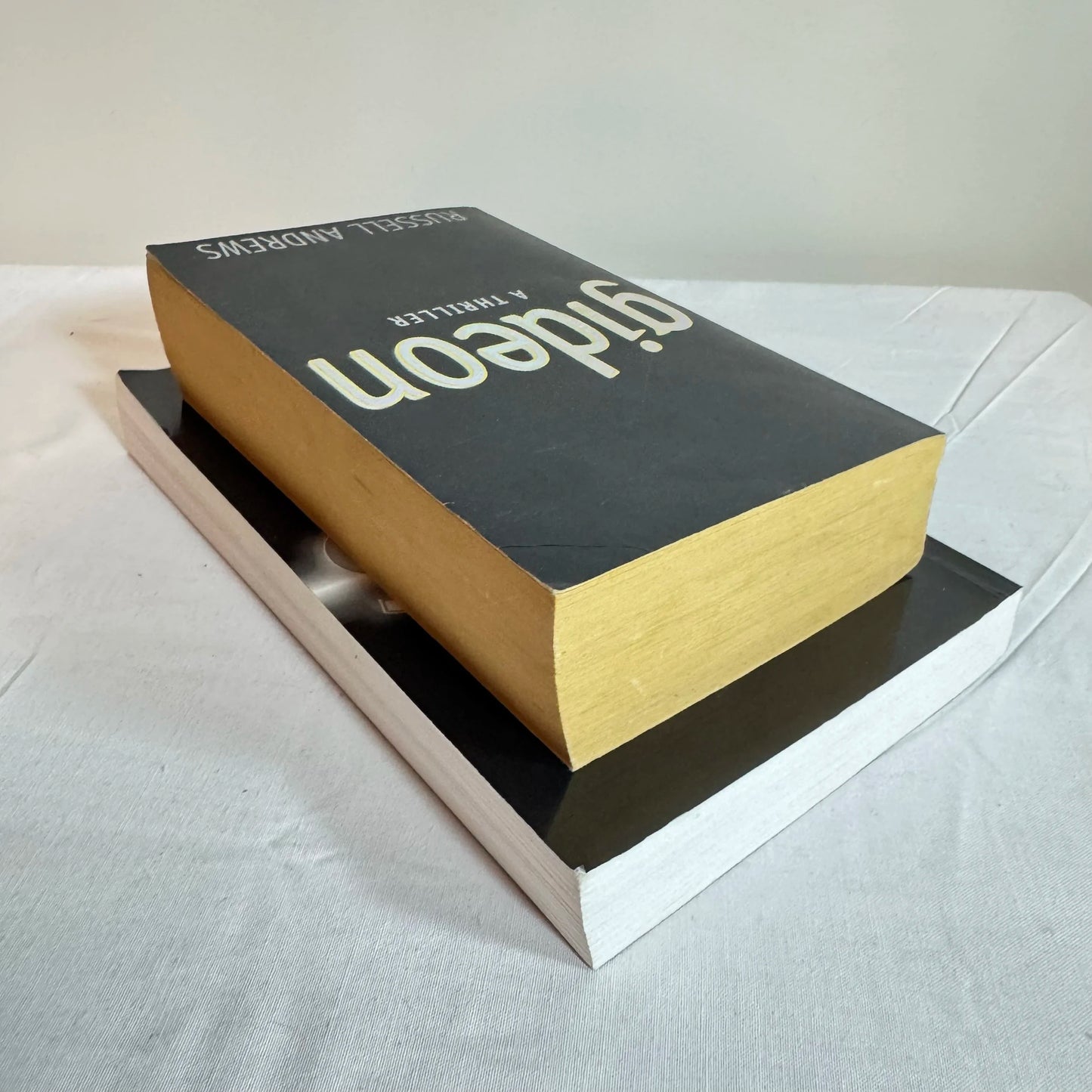 Thriller Book Bundle x 2 - Gideon & Icarus by Russell Andrews