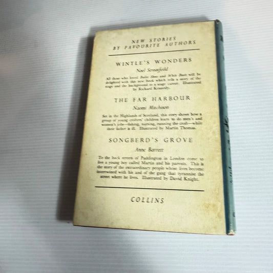 The Warden's Niece - Gillian Avery (Vintage 1957)