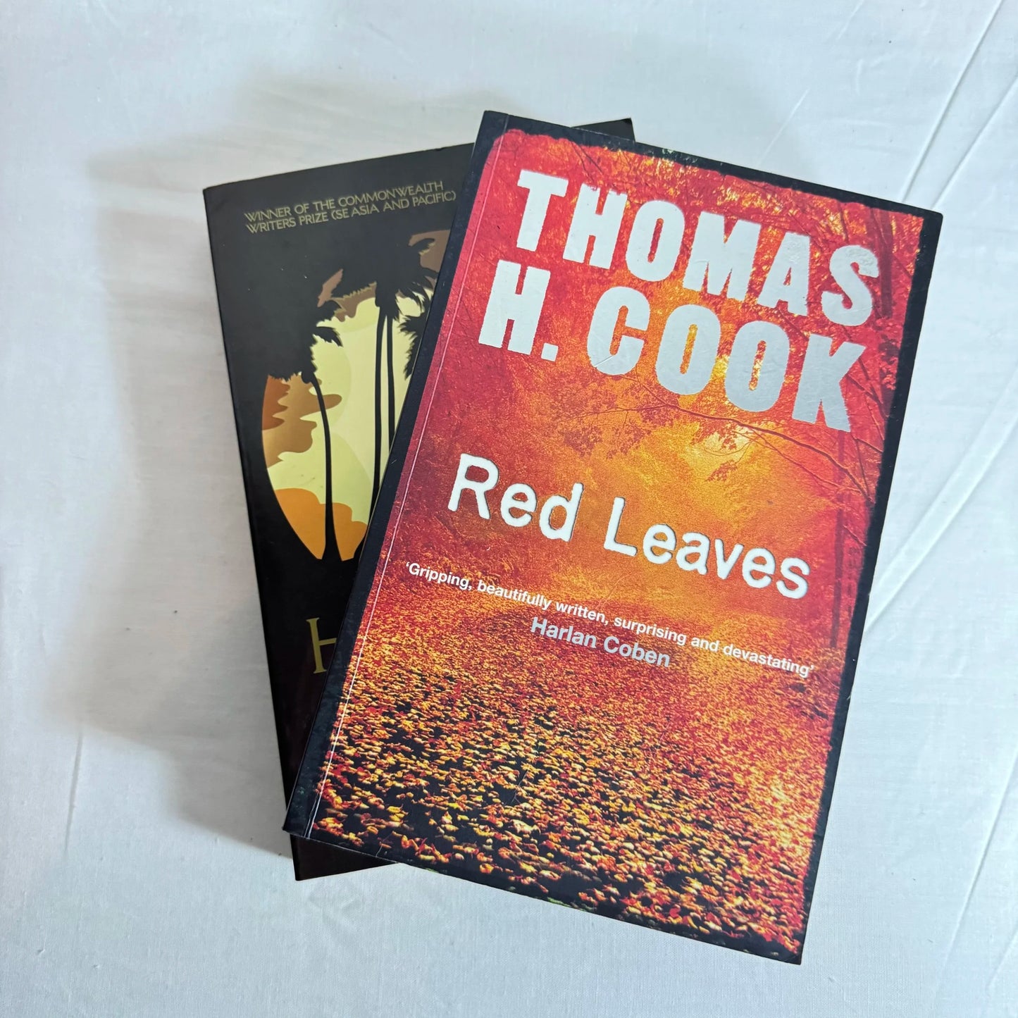 Crime Book Bundle x 2 - The Hamilton Case & Red Leaves