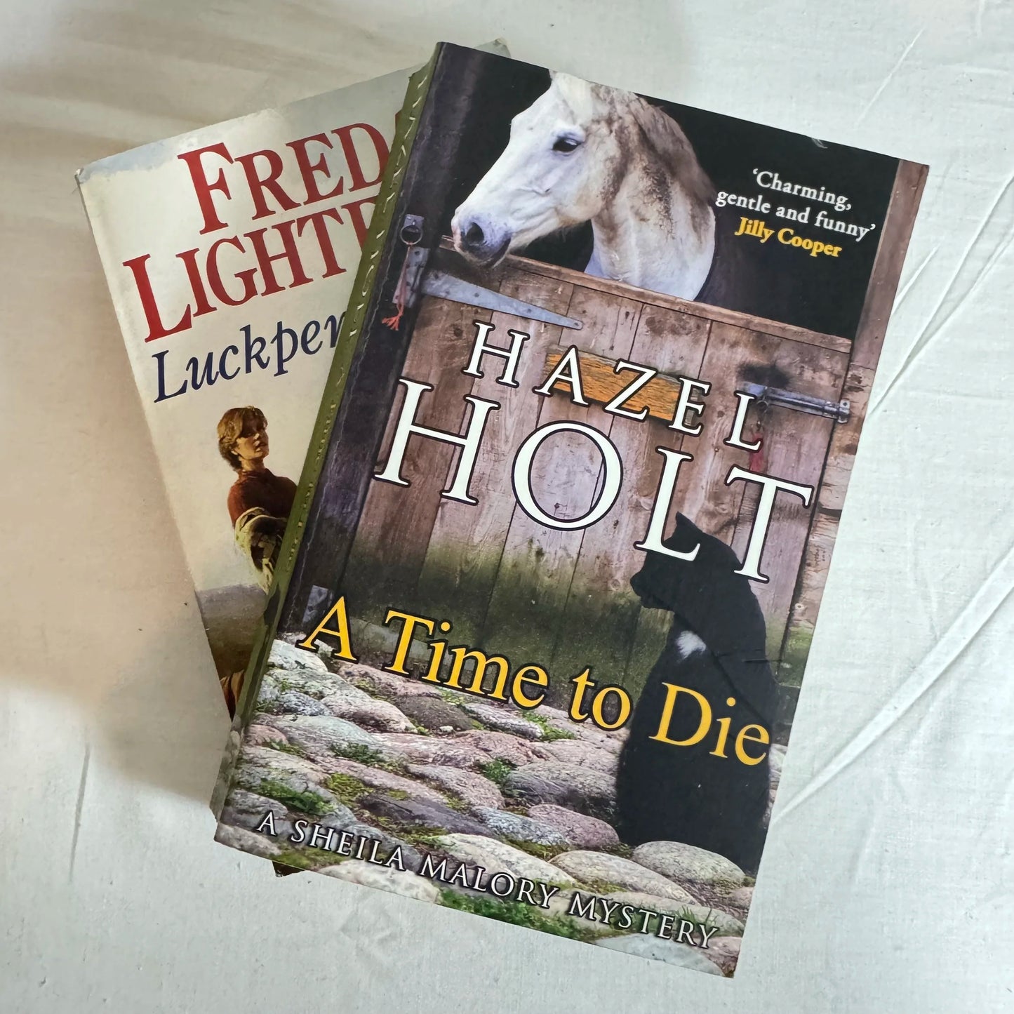Mystery Book Bundle x 2 - A Time to Die & Luckpenny Land