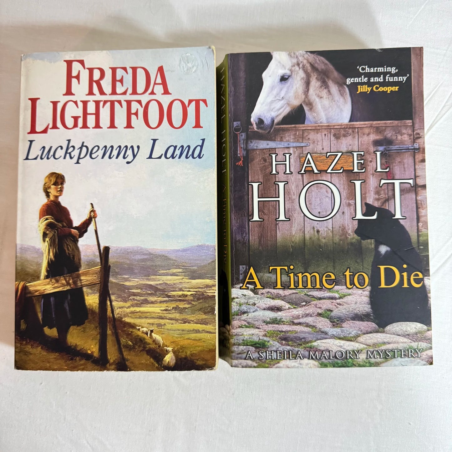 Mystery Book Bundle x 2 - A Time to Die & Luckpenny Land