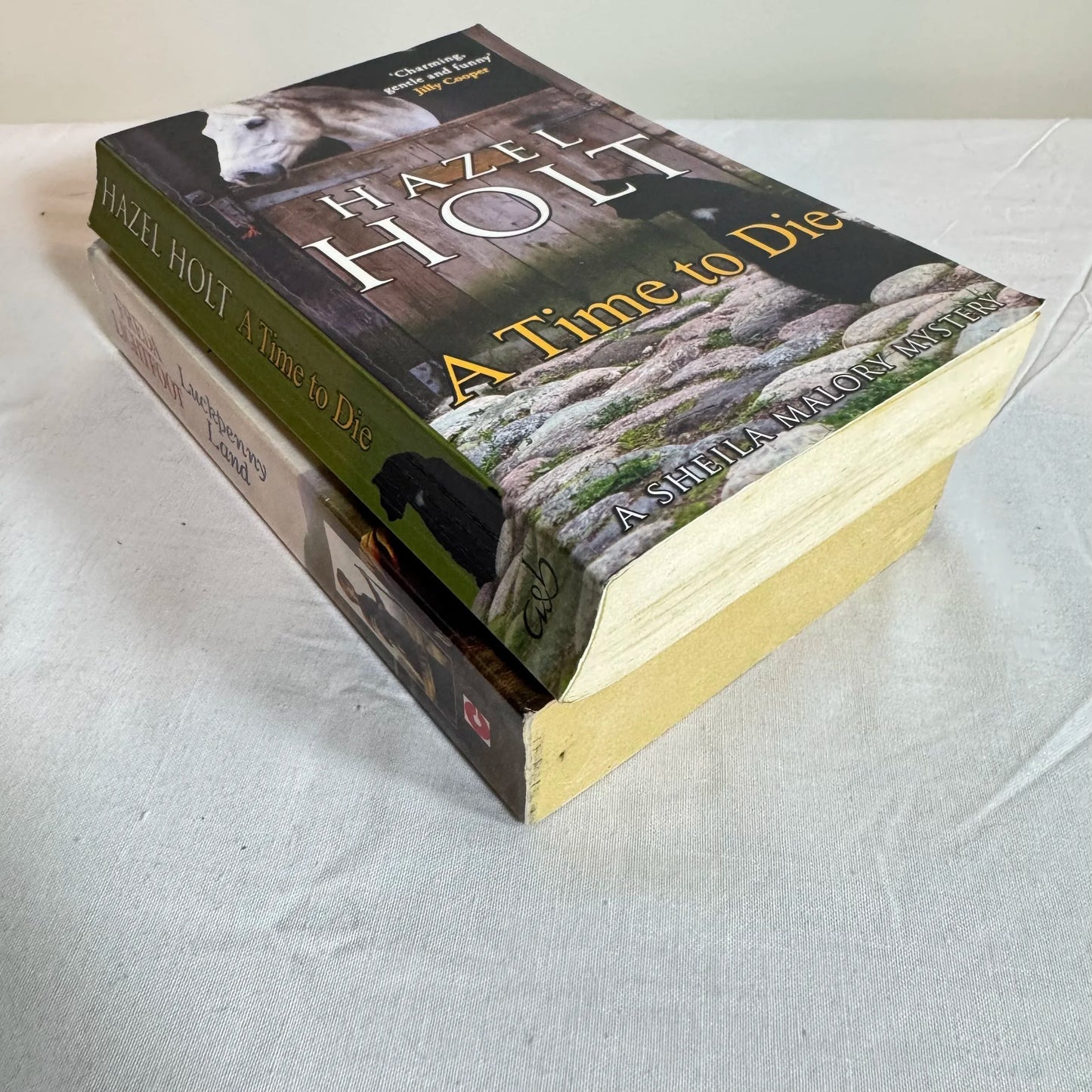Mystery Book Bundle x 2 - A Time to Die & Luckpenny Land