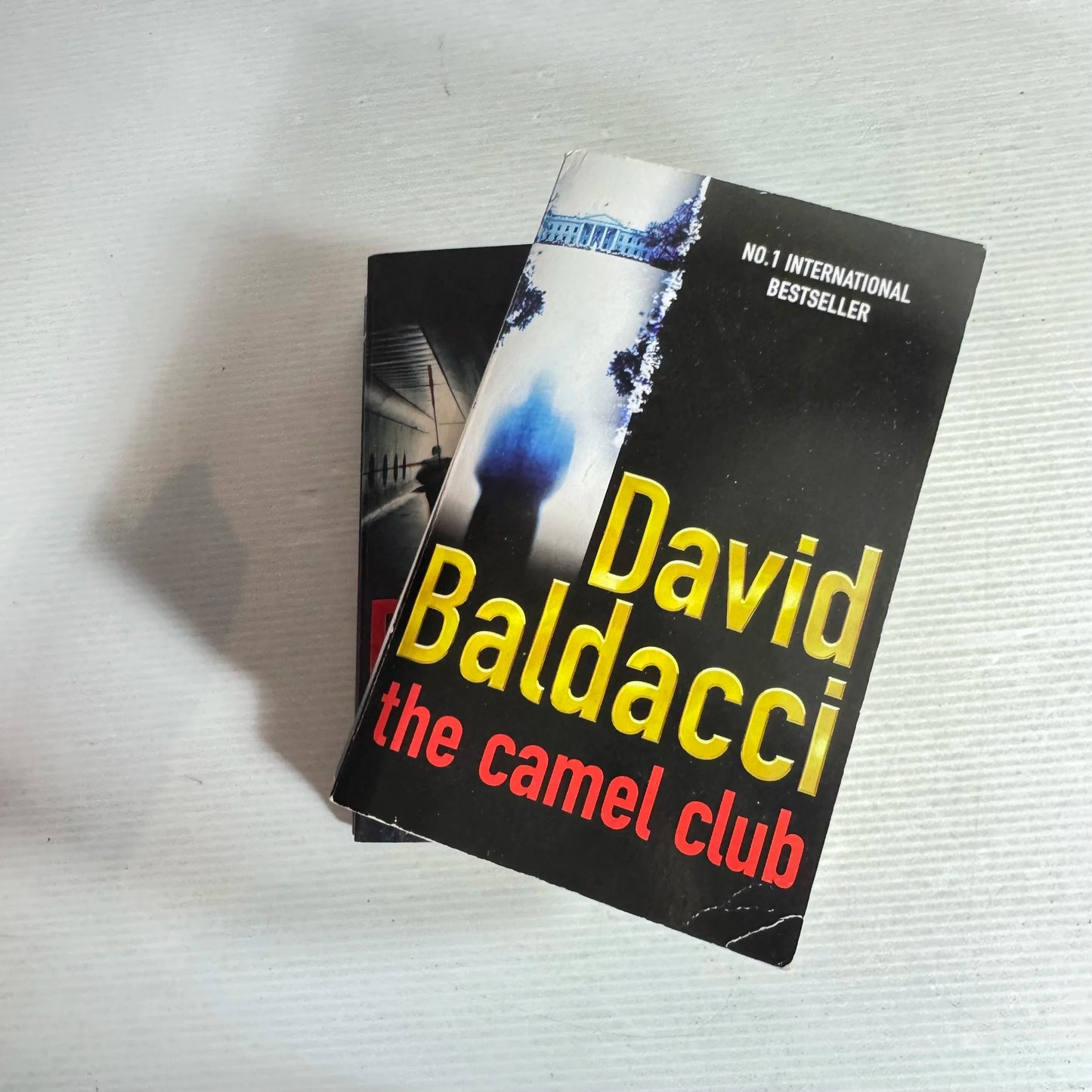 David Baldacci Book Bundle x 2  Books : The Camel Club & Stone Cold (602)