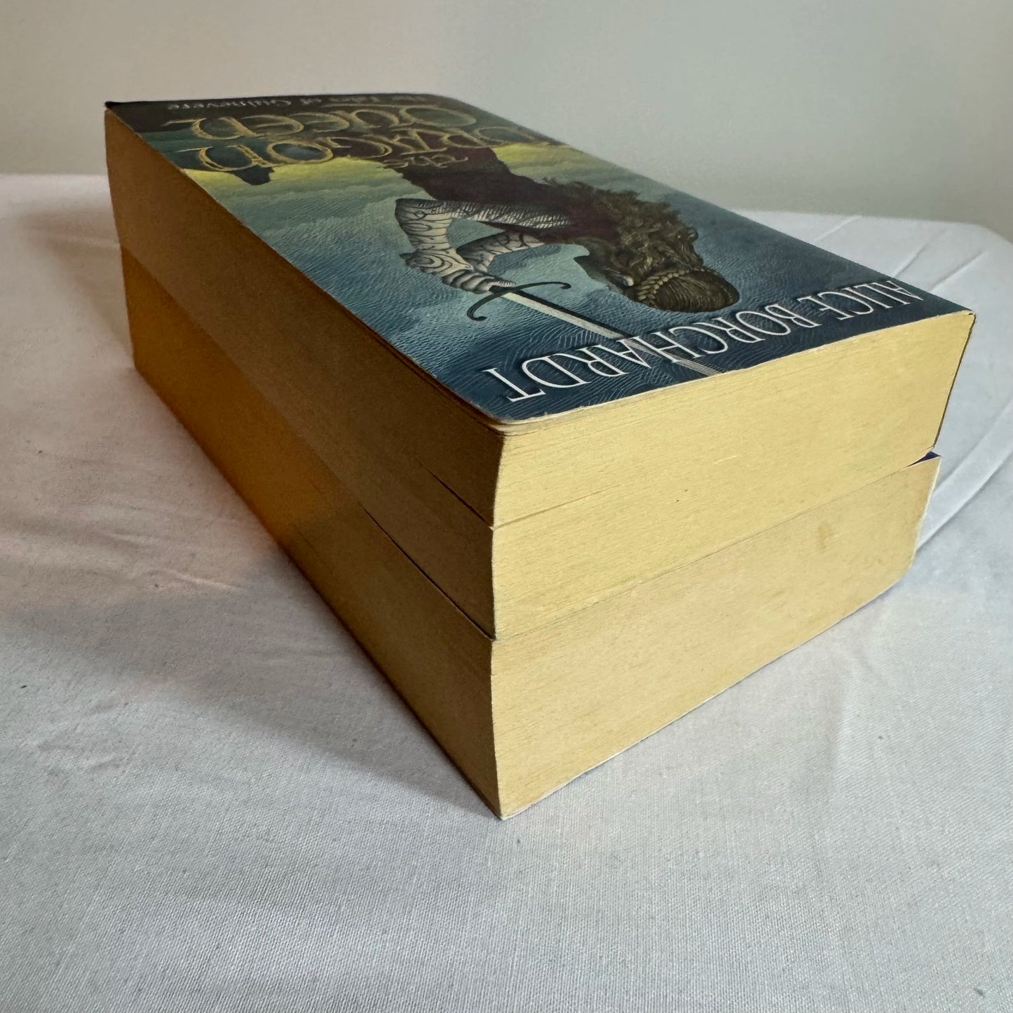 Historical Fantasy Book Bundle x 2 - The Dragon Queen & The Black Rood