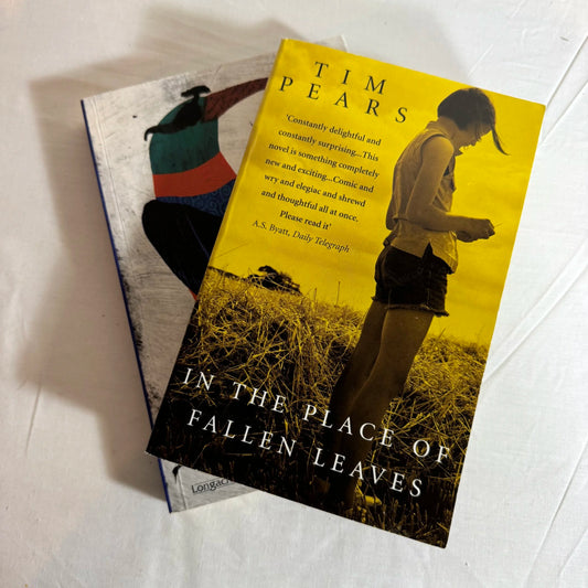 Young Adult Contemporary Book Bundle x 2  In The Place of Fallen Leaves & The 10PM Question