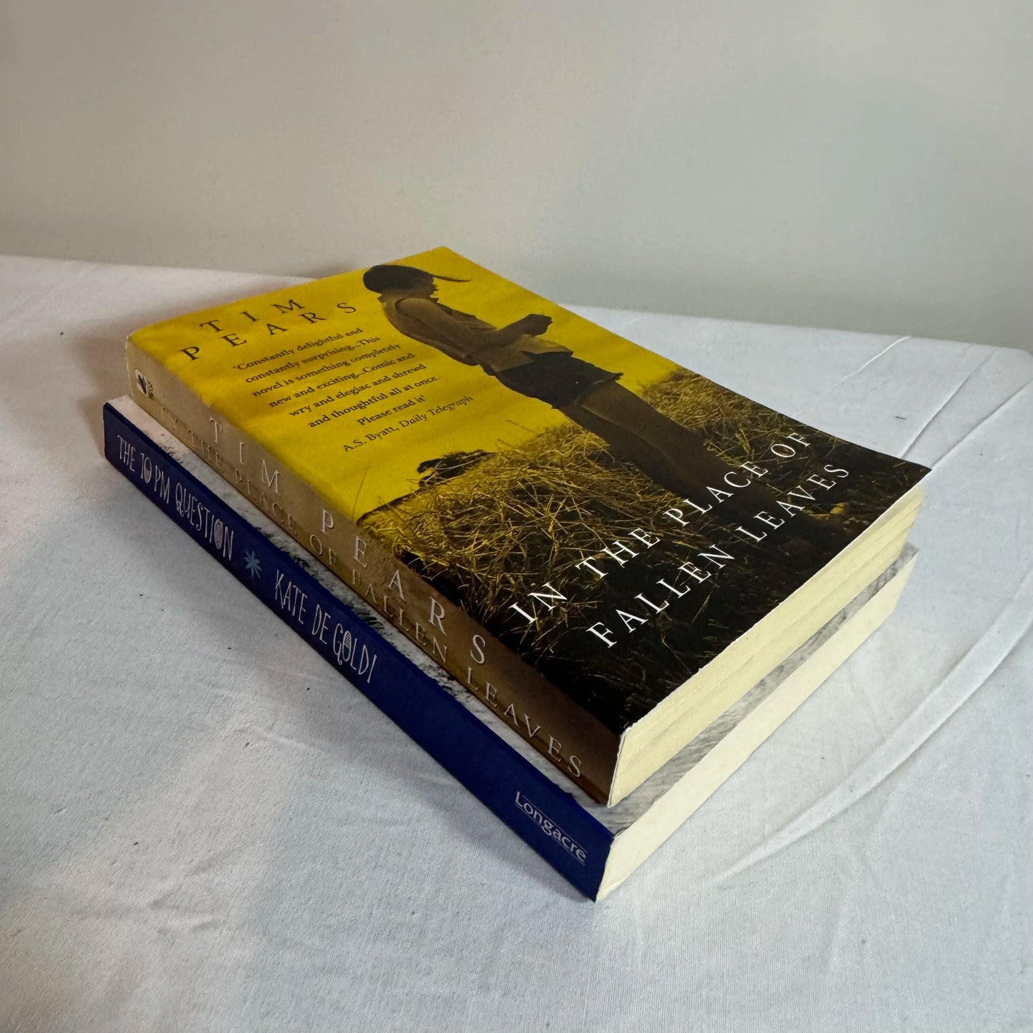 Young Adult Contemporary Book Bundle x 2  In The Place of Fallen Leaves & The 10PM Question