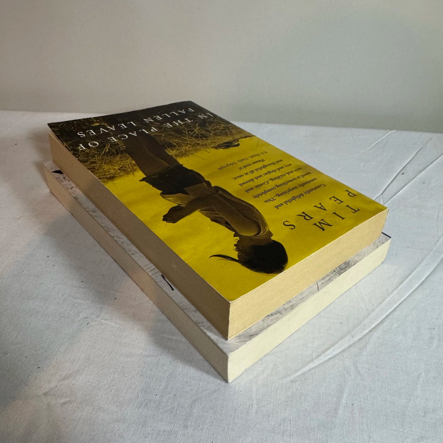 Young Adult Contemporary Book Bundle x 2  In The Place of Fallen Leaves & The 10PM Question