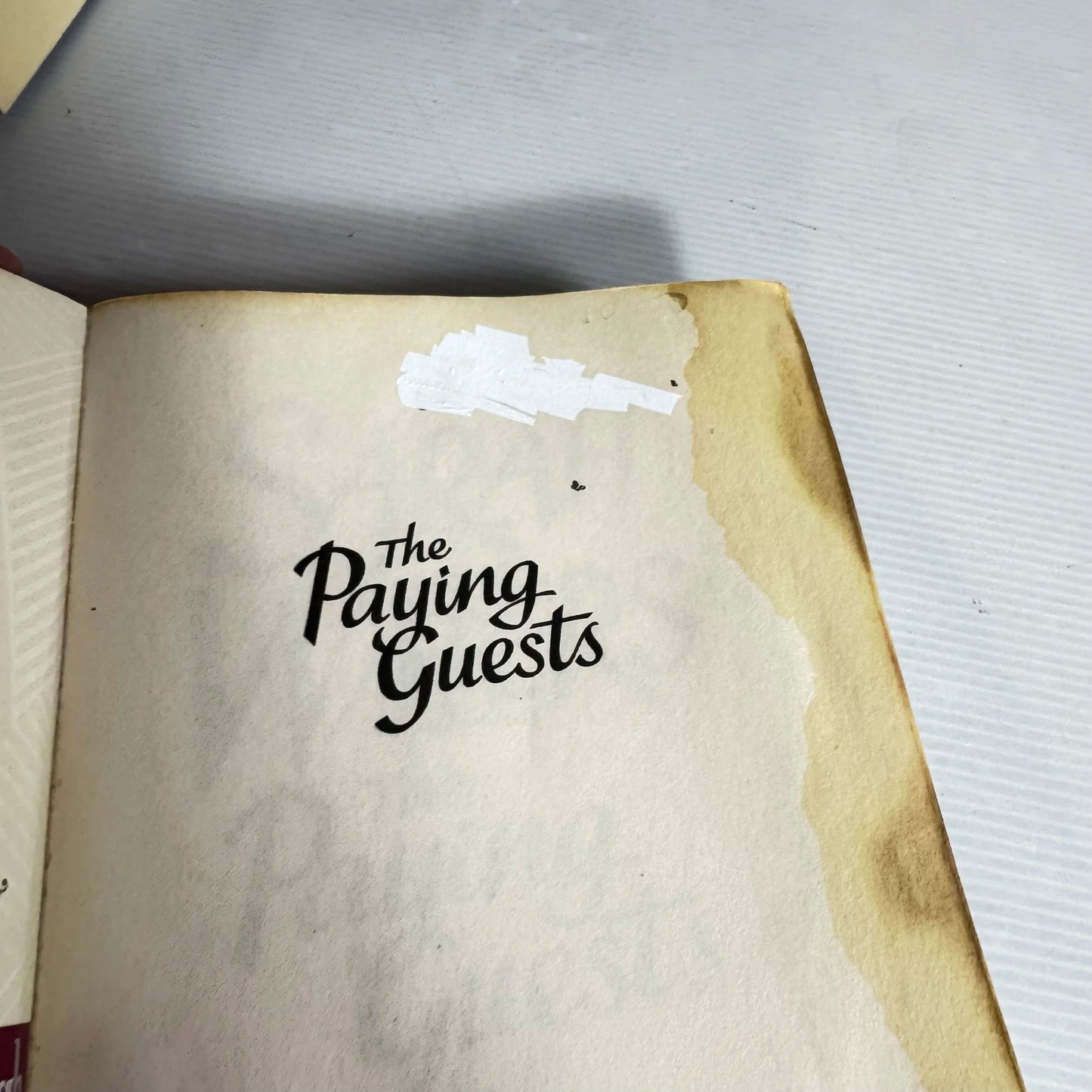 The Playing Guests - Sarah Waters