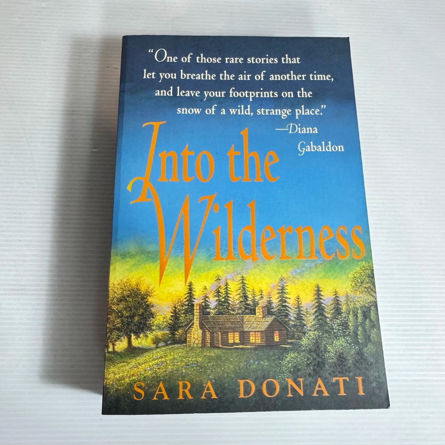 Into the Wilderness - Sara Donati