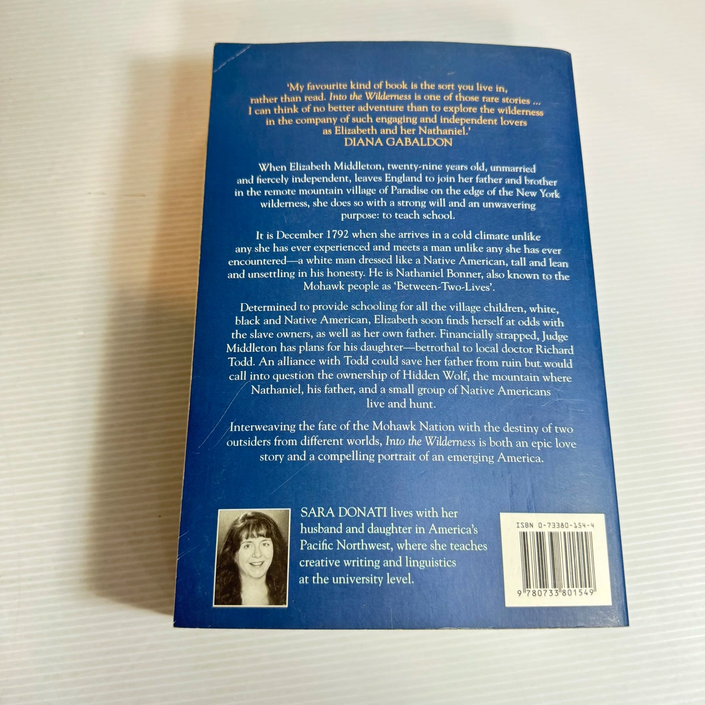 Into the Wilderness - Sara Donati