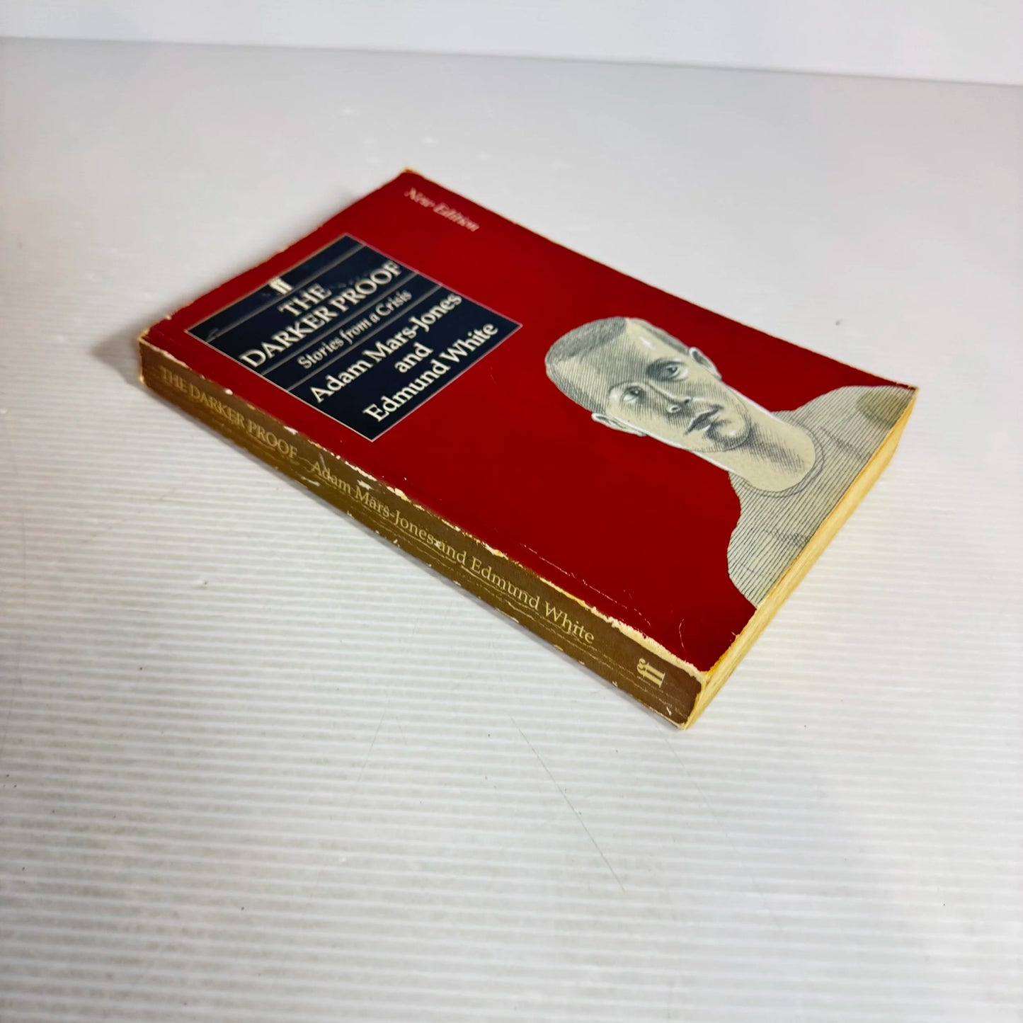 The Darker Proof : Stories from a Crisis - Adam Mars-Jones & Edmund White