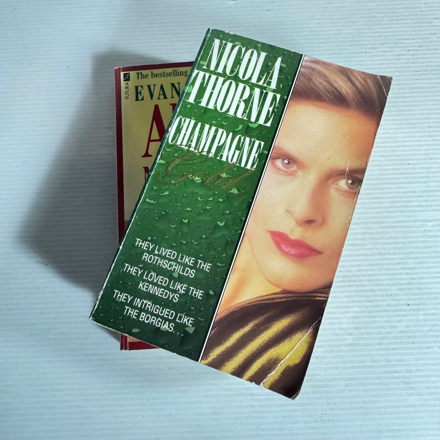 Domestic Fiction Book Bundle x 2 Champagne Gold - Nicola Thorne & Alice to Nowhere - Evan Green (570)