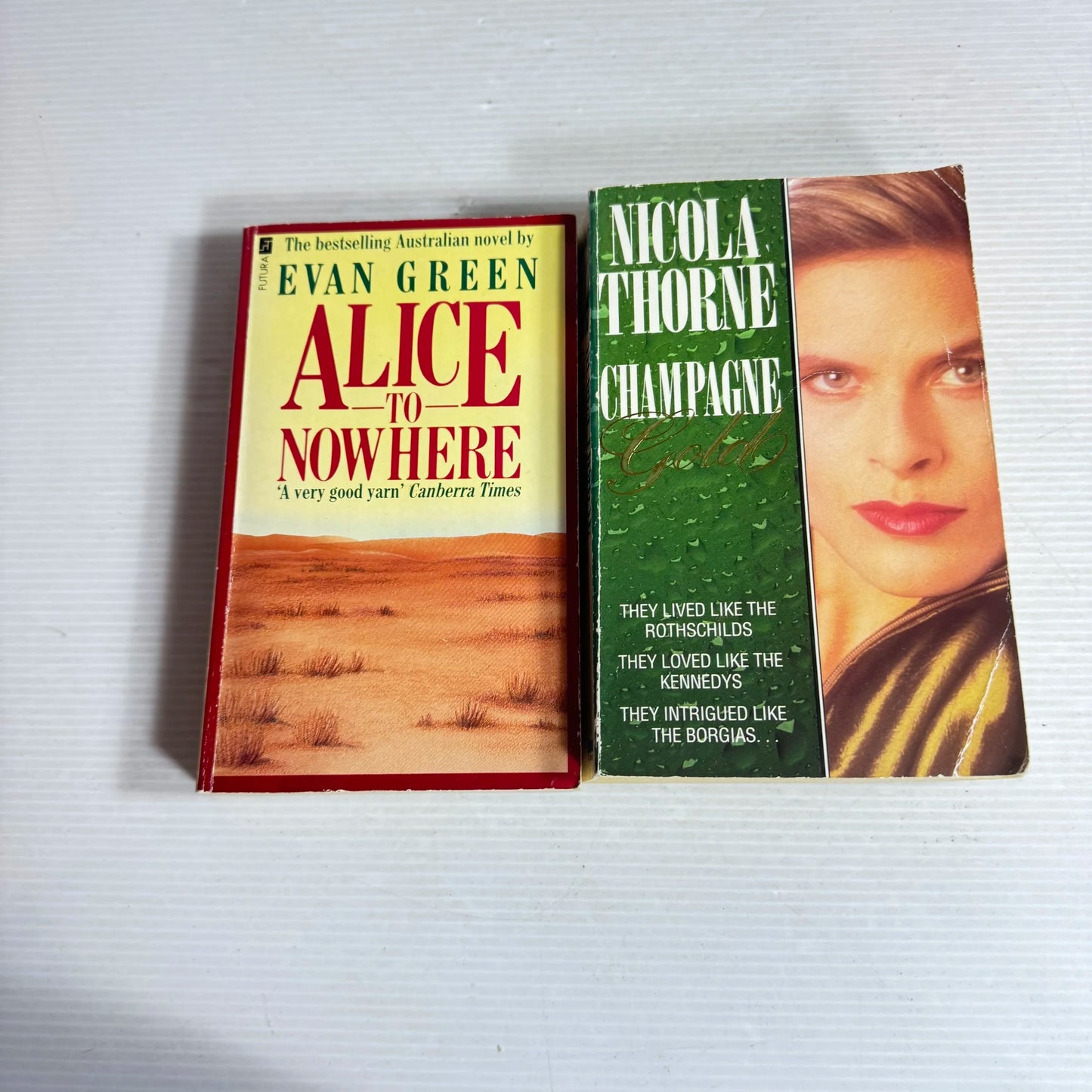 Domestic Fiction Book Bundle x 2 Champagne Gold - Nicola Thorne & Alice to Nowhere - Evan Green (570)
