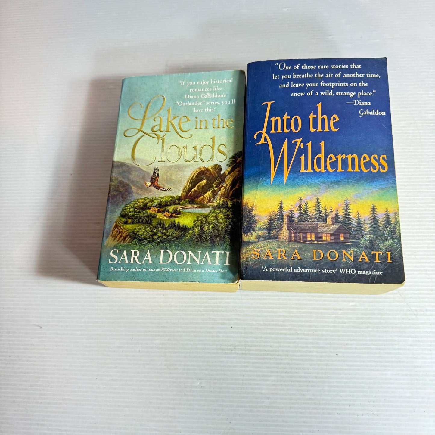 Sara Donati Book Bundle x 2 Books Into the Wilderness & Lake in the Clouds (563)