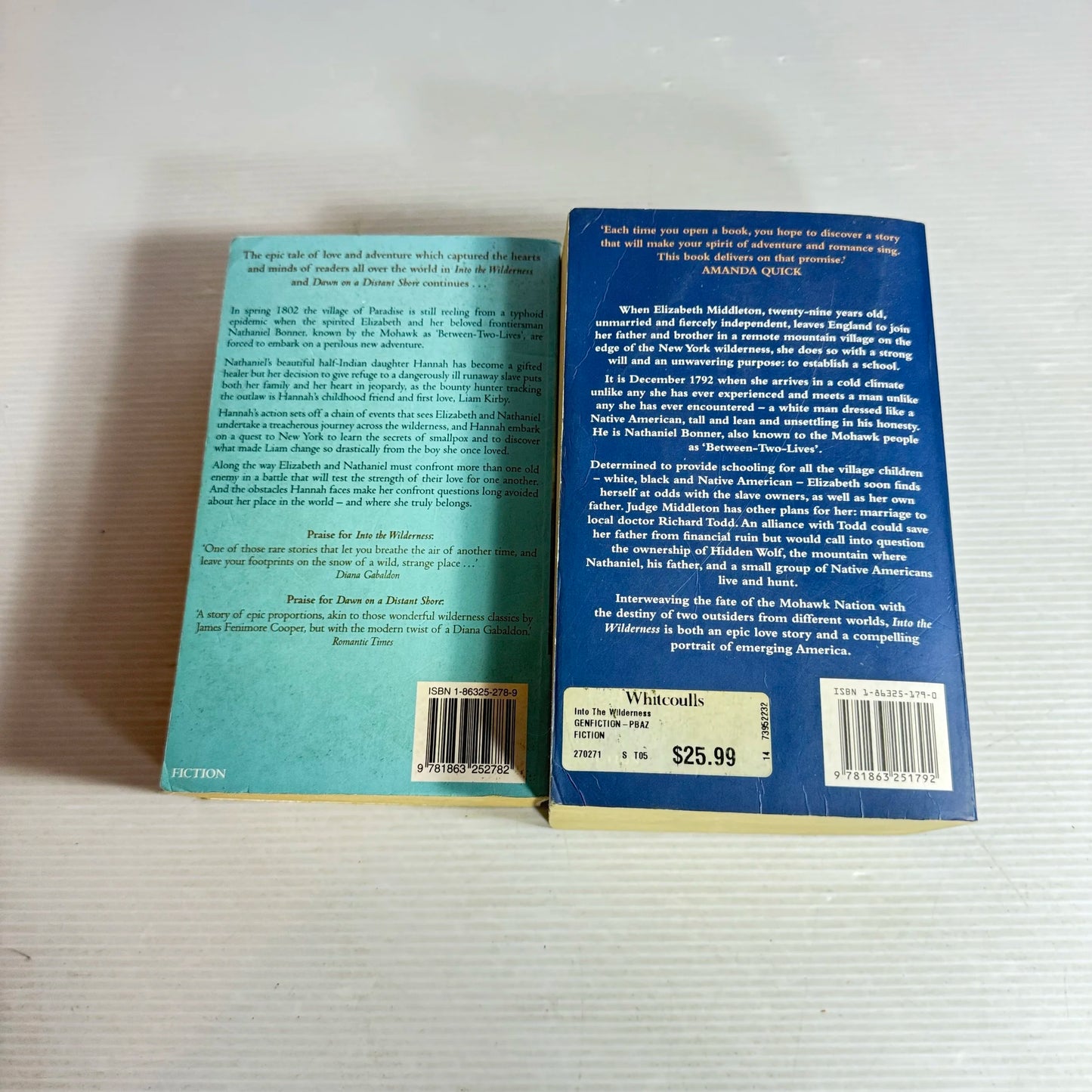 Sara Donati Book Bundle x 2 Books Into the Wilderness & Lake in the Clouds (563)