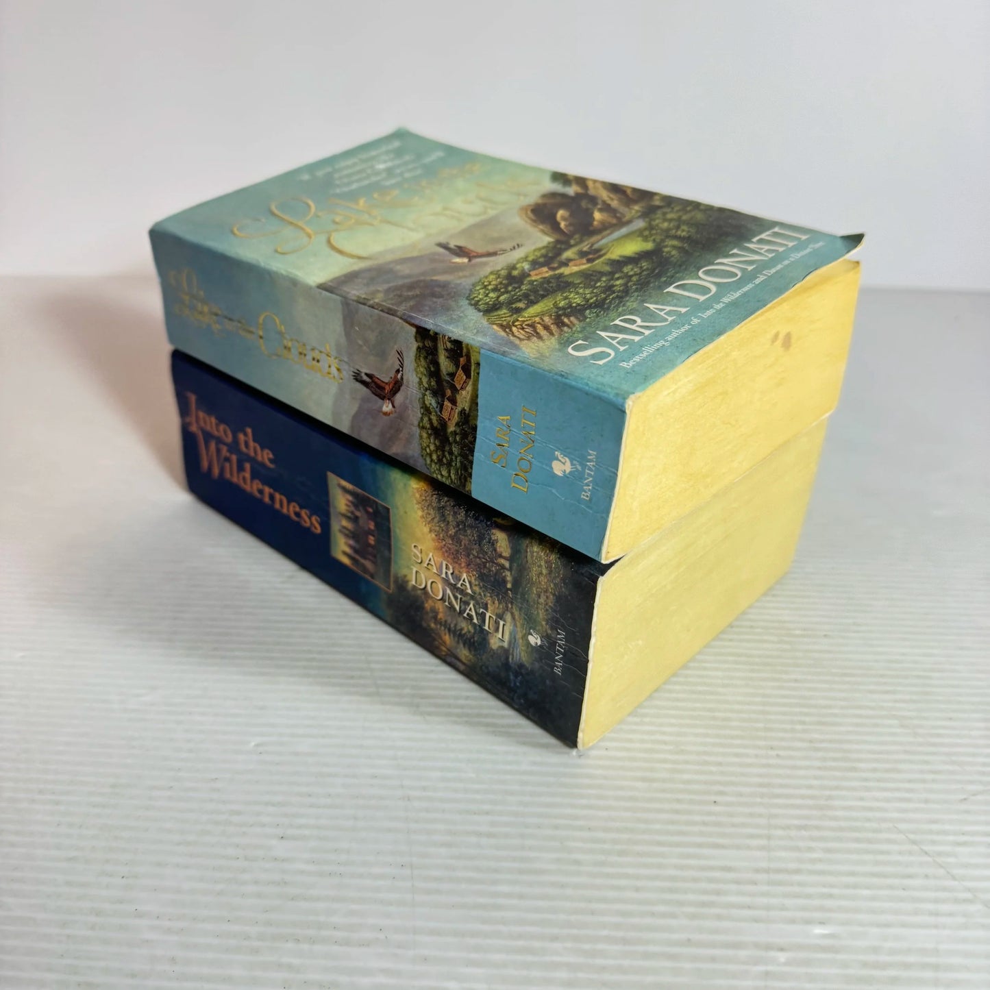 Sara Donati Book Bundle x 2 Books Into the Wilderness & Lake in the Clouds (563)