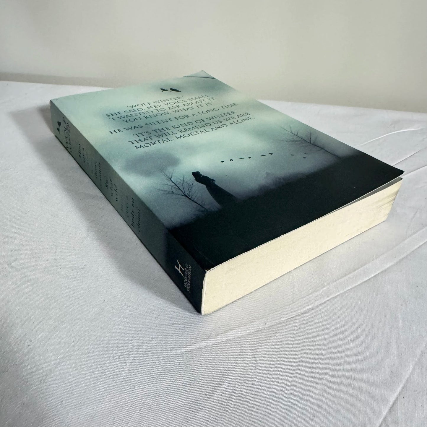 Wolf Winter - Cecila Ekack