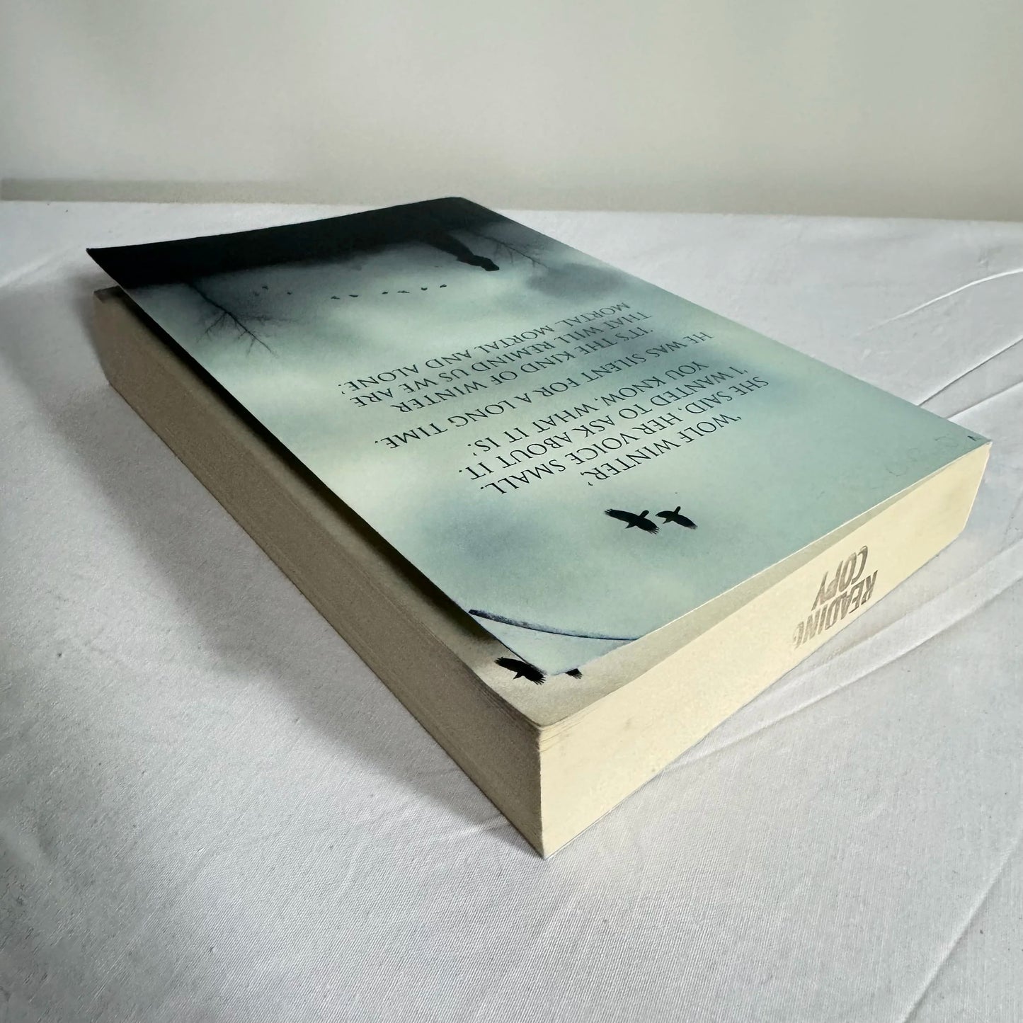 Wolf Winter - Cecila Ekack