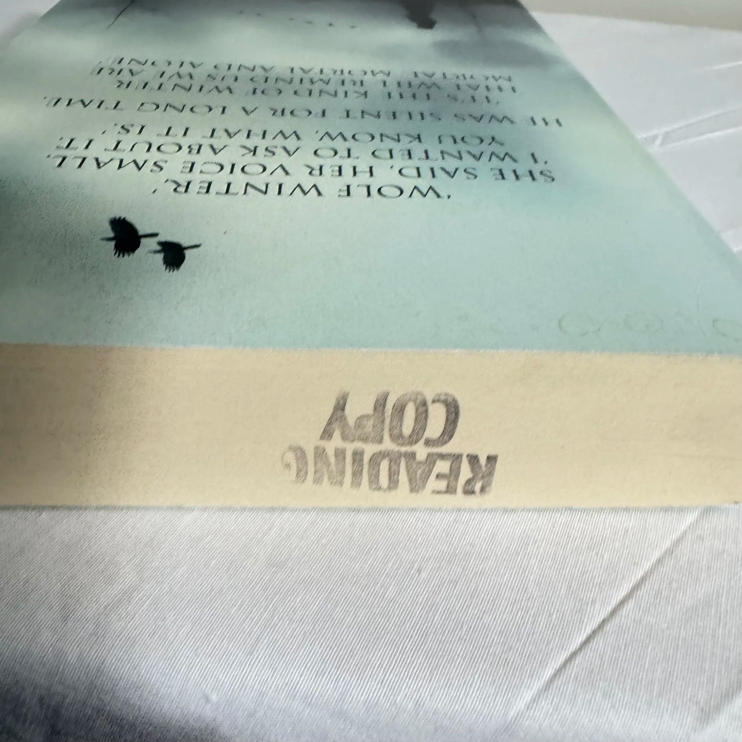 Wolf Winter - Cecila Ekack