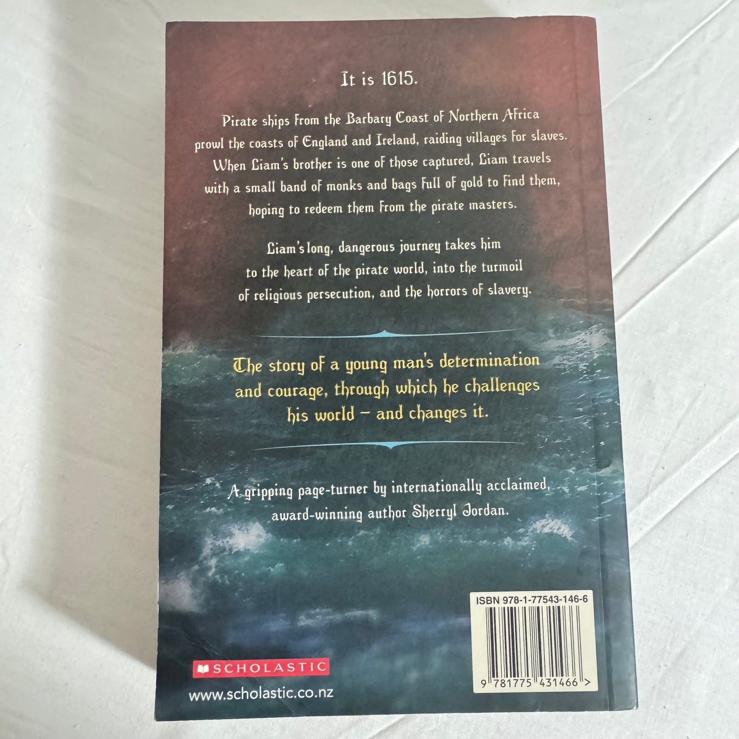 The Freedom Merchants - Sherryl Jordan