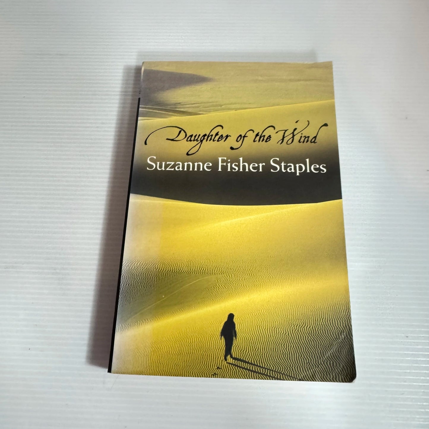 Daughter Of The Wind - Suzanne Fisher Staples