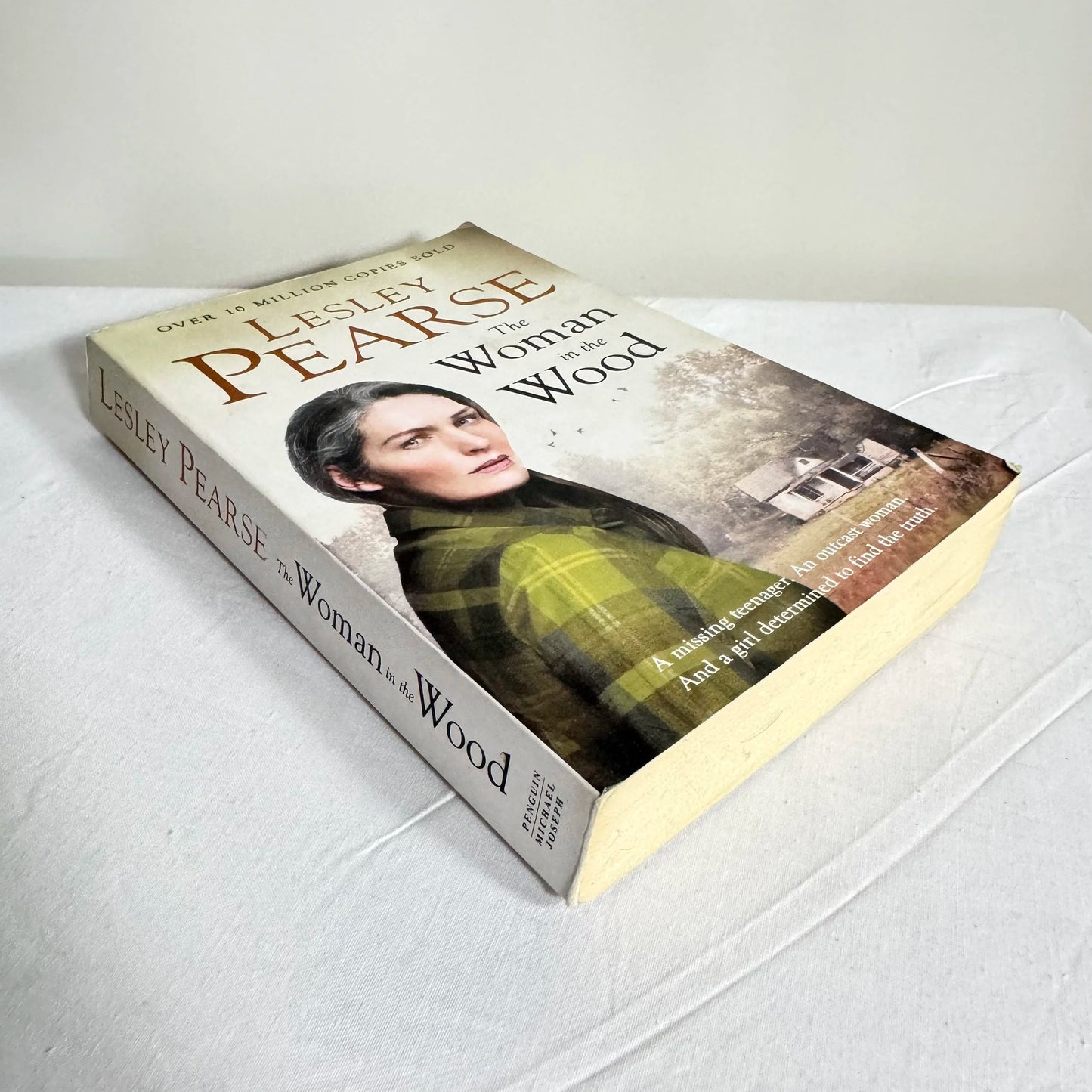 The Woman in the Wood - Lesley Pearse
