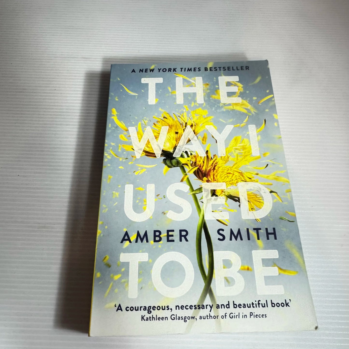 The Way I Used To Be - Amber Smith