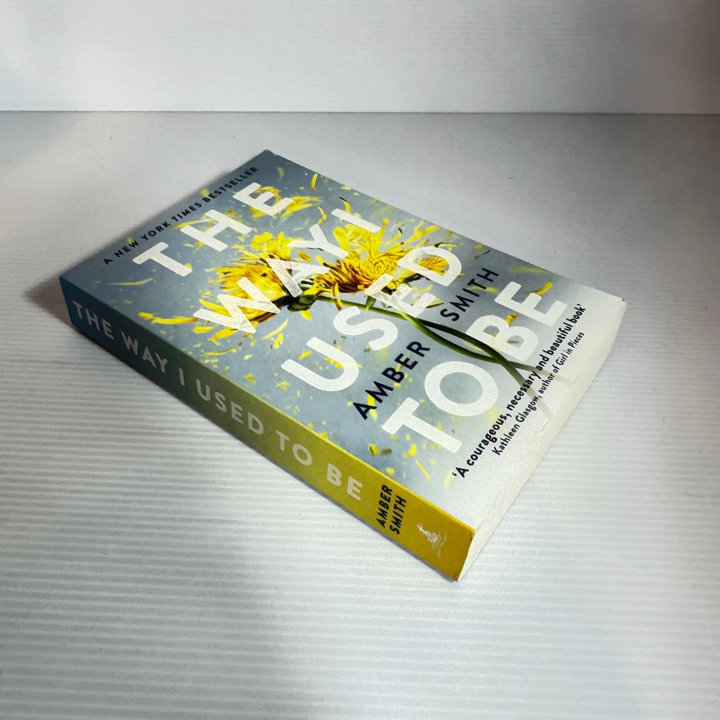 The Way I Used To Be - Amber Smith