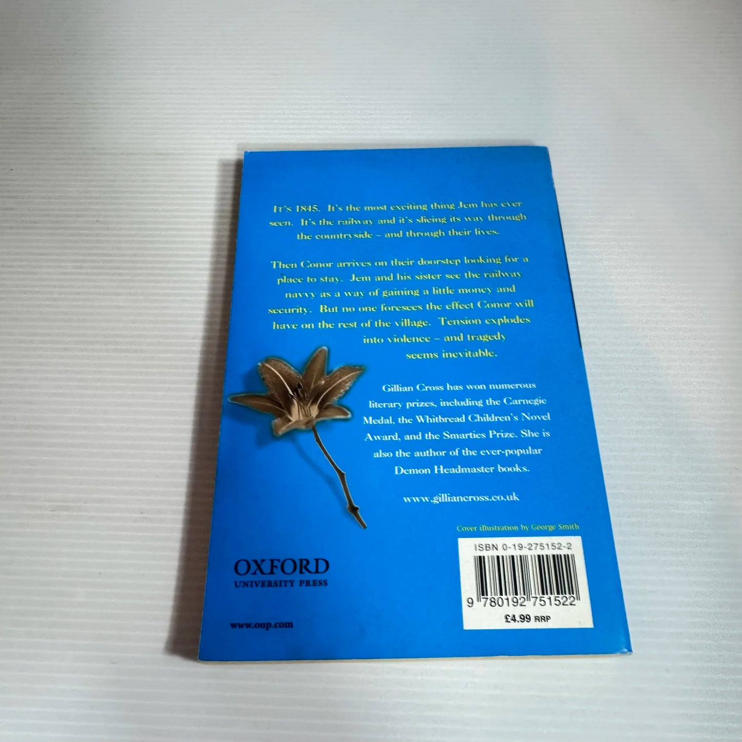 The Iron Way - Gillian Cross