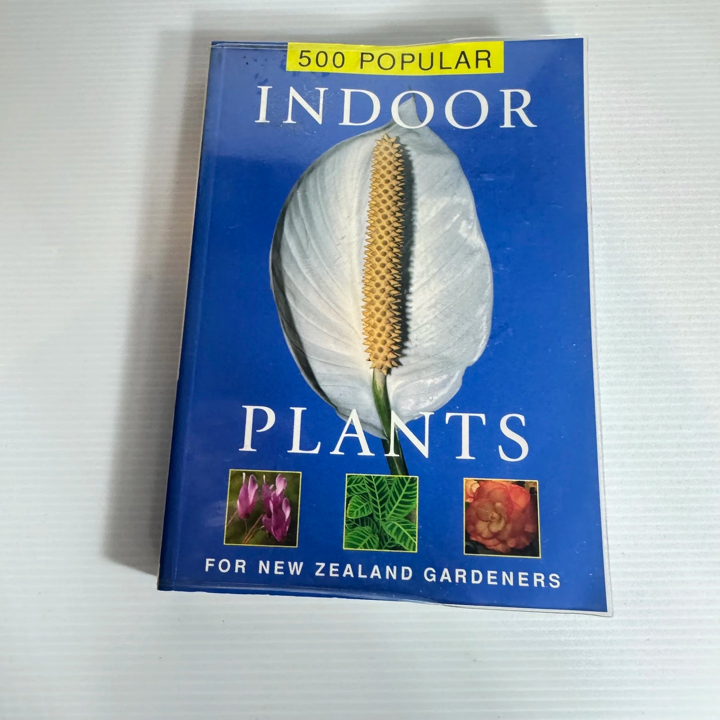 500 Popular Indoor Plants for New Zealand Gardeners