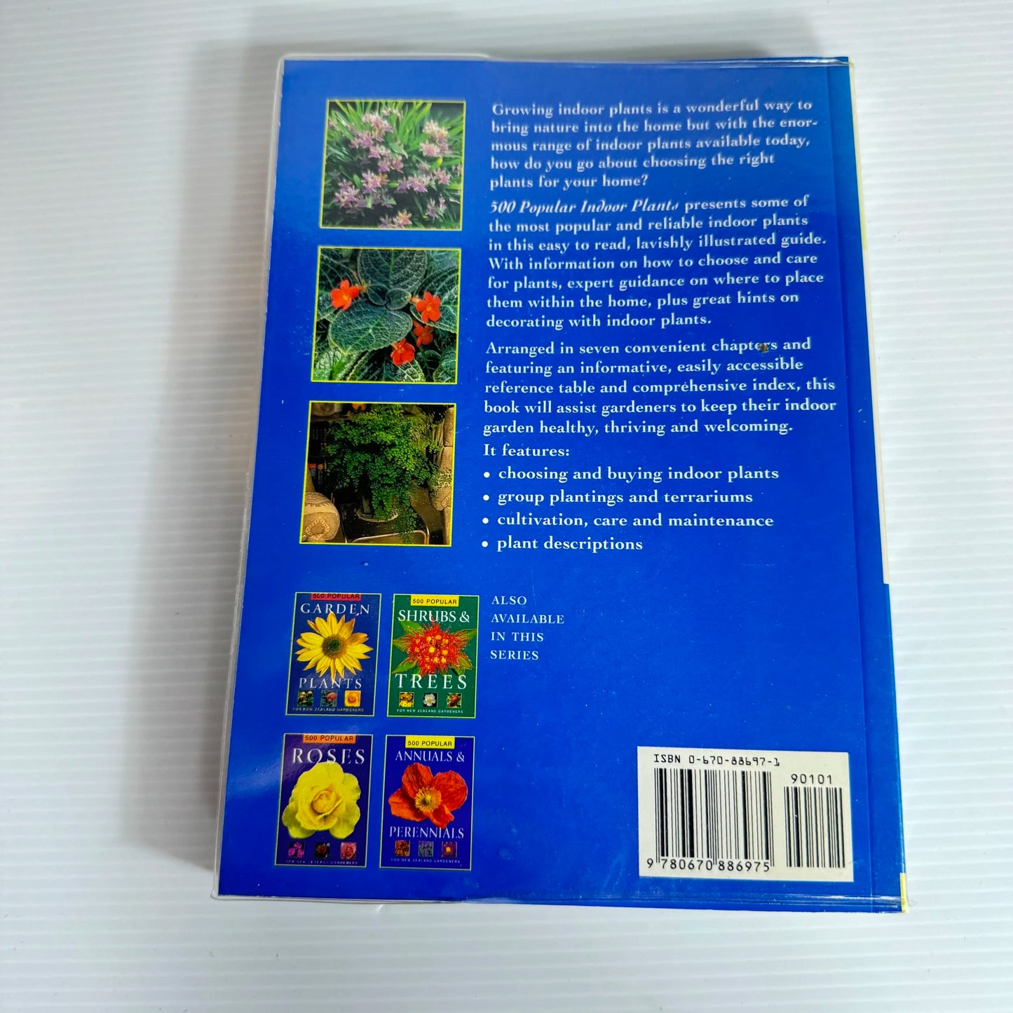 500 Popular Indoor Plants for New Zealand Gardeners