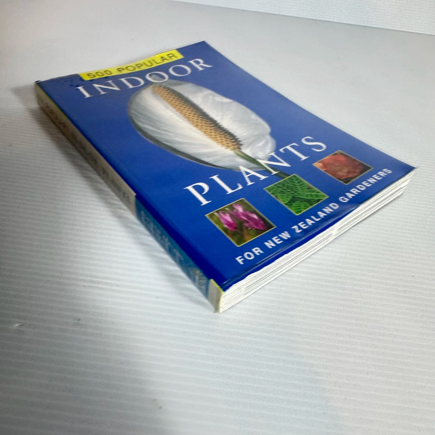 500 Popular Indoor Plants for New Zealand Gardeners